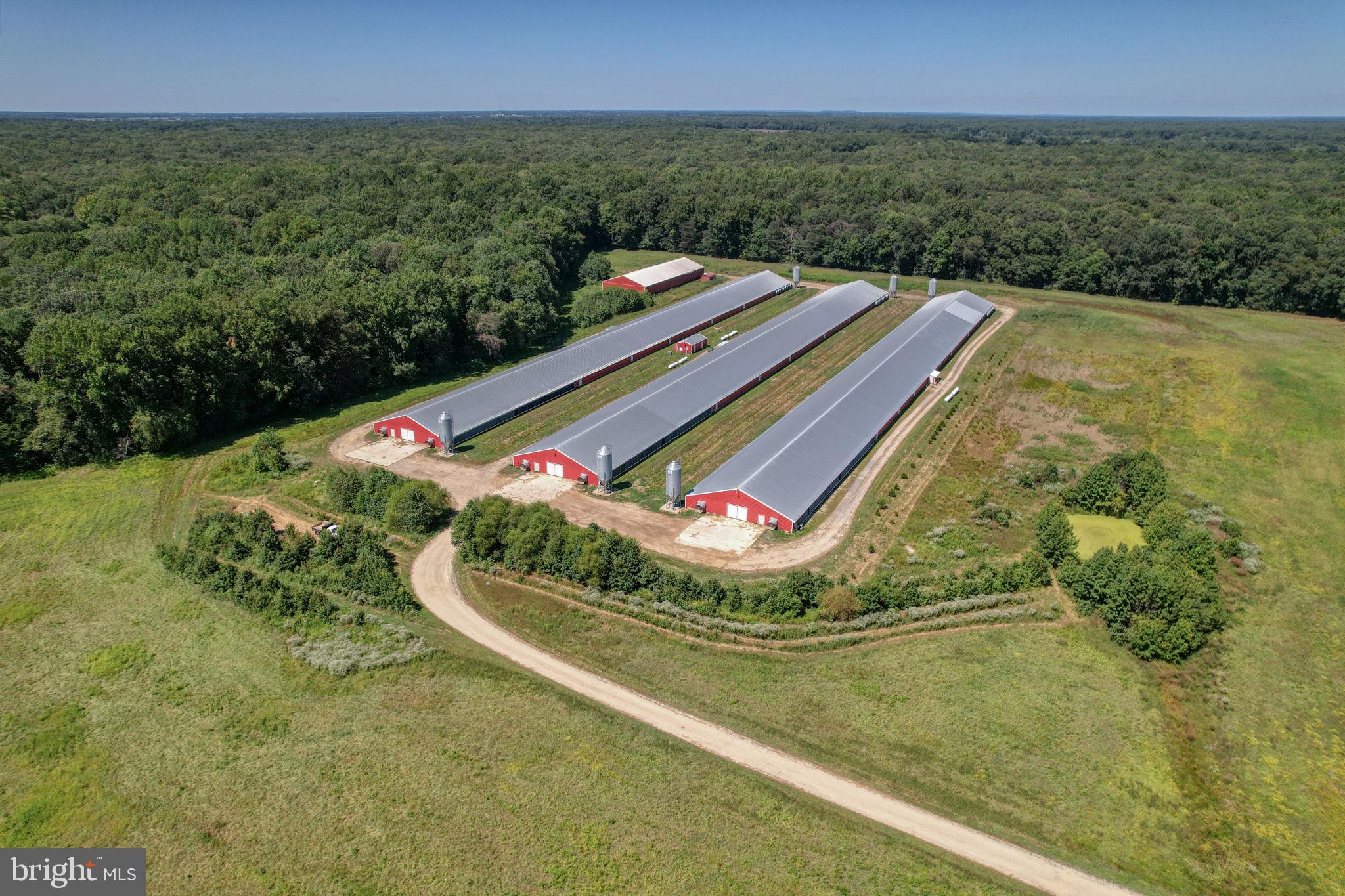 NONE AVAILABLE - Farm