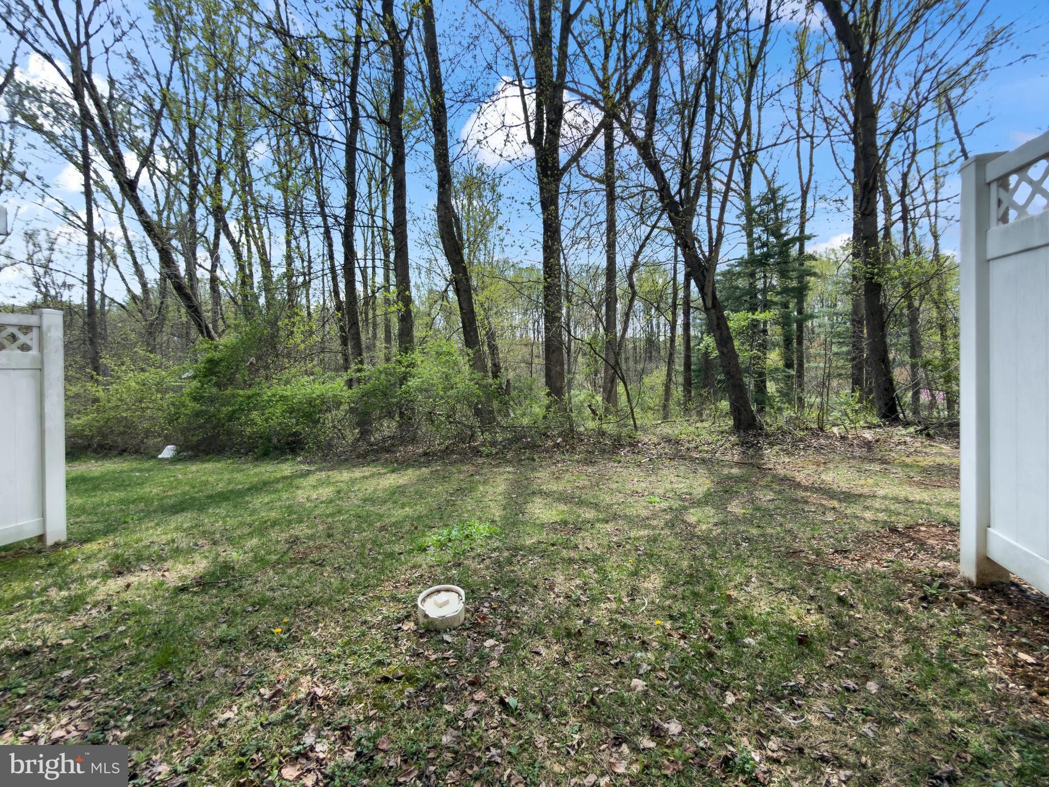 CABIN BRANCH - Residential