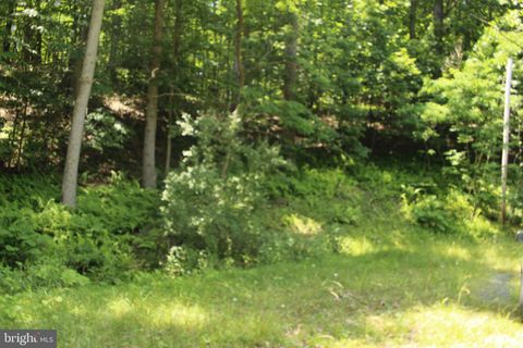 Vacant Land For Sale - Nethers<br/> Rappahannock County, SPERRYVILLE, VA 22740