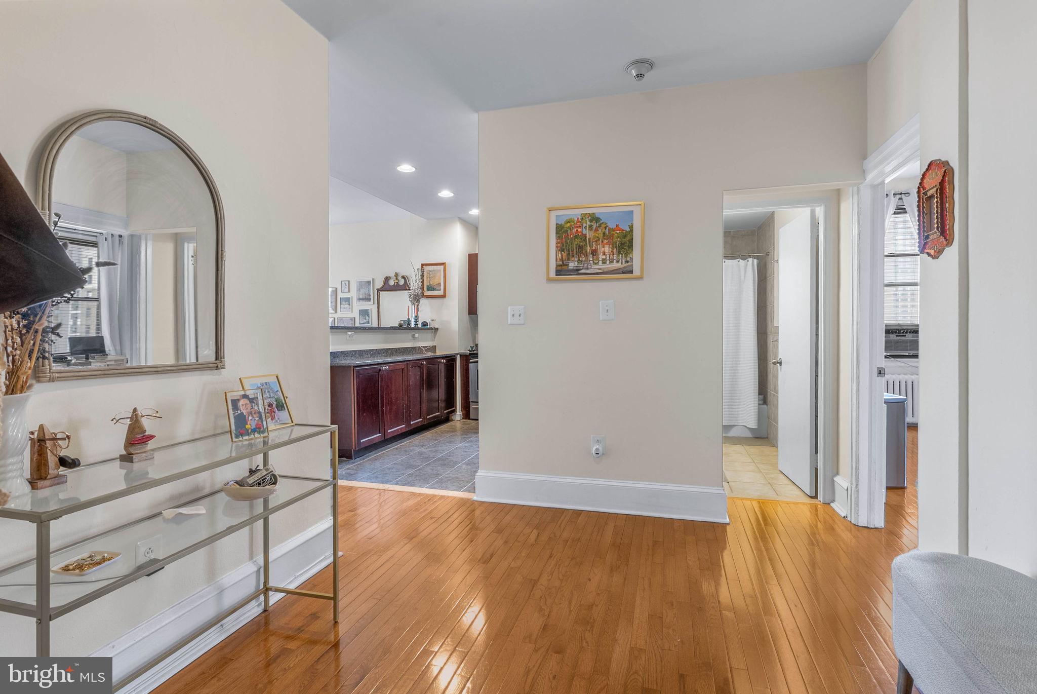 250 S 13TH STREET 11E