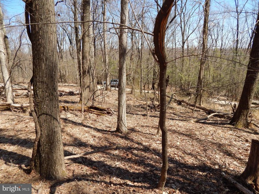 Full time or weekend getaway, this land is ready for you to build your home.  Community amenities include a 7 acre lake with swimming and fishing, a well as a ball field.  Remains of a structure still on the land, along with a well and septic.  Health dept septic records available for a 3 BR septic system.  Both well and septic are as is.