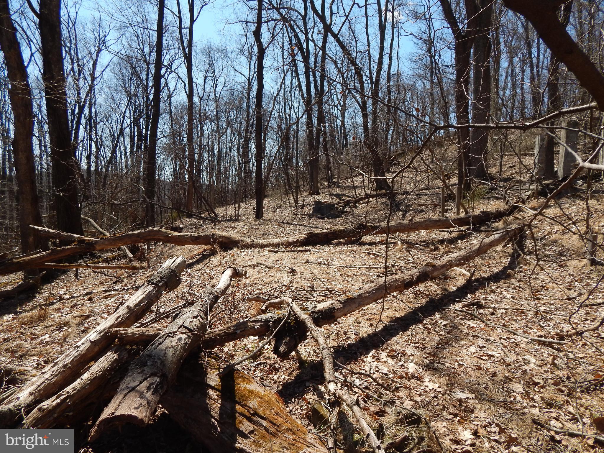 SLEEPY HOLLOW - Land