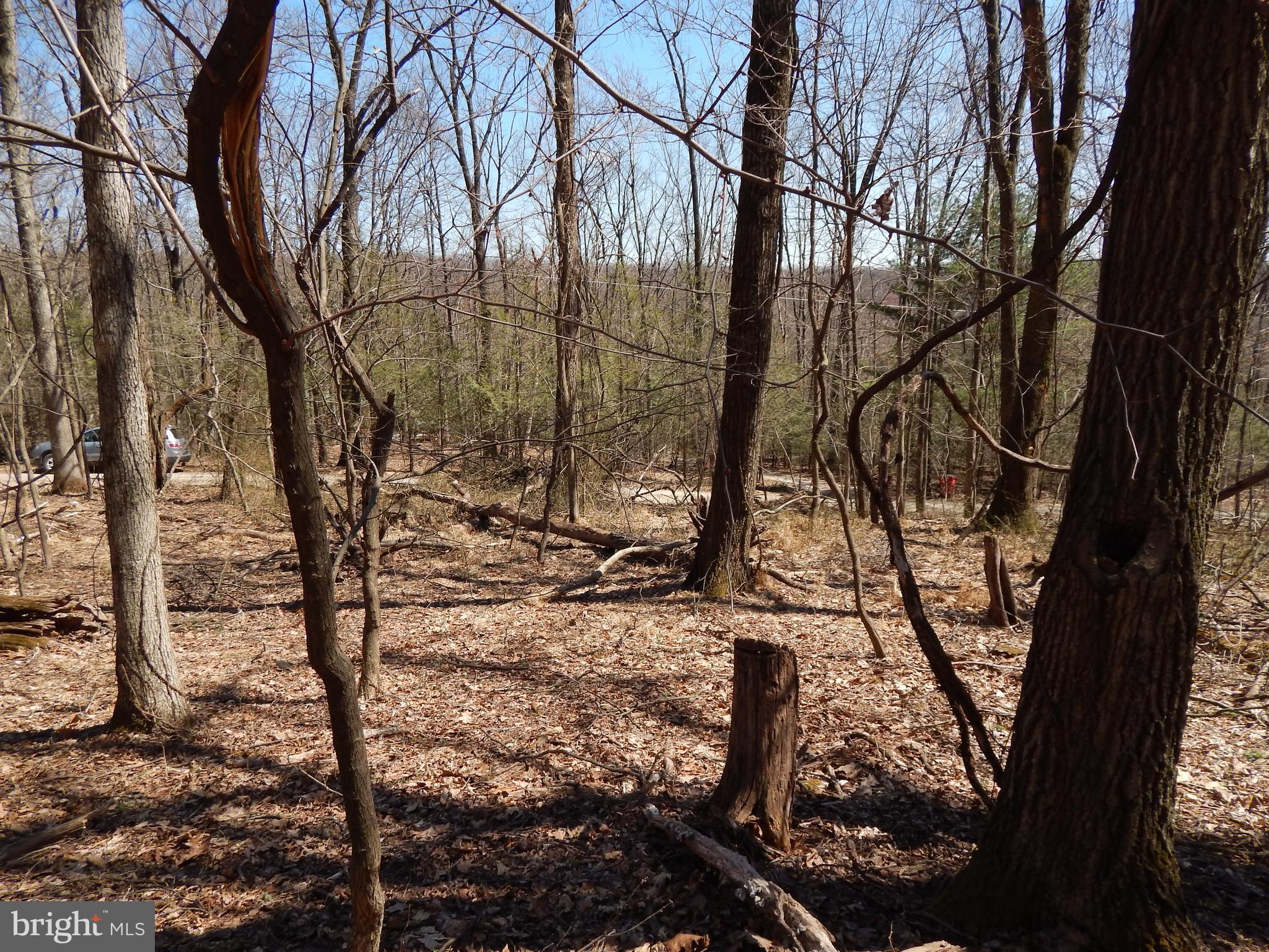 SLEEPY HOLLOW - Land