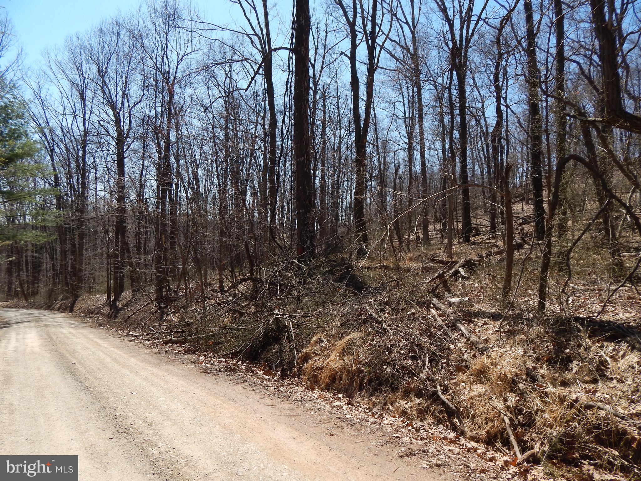 SLEEPY HOLLOW - Land