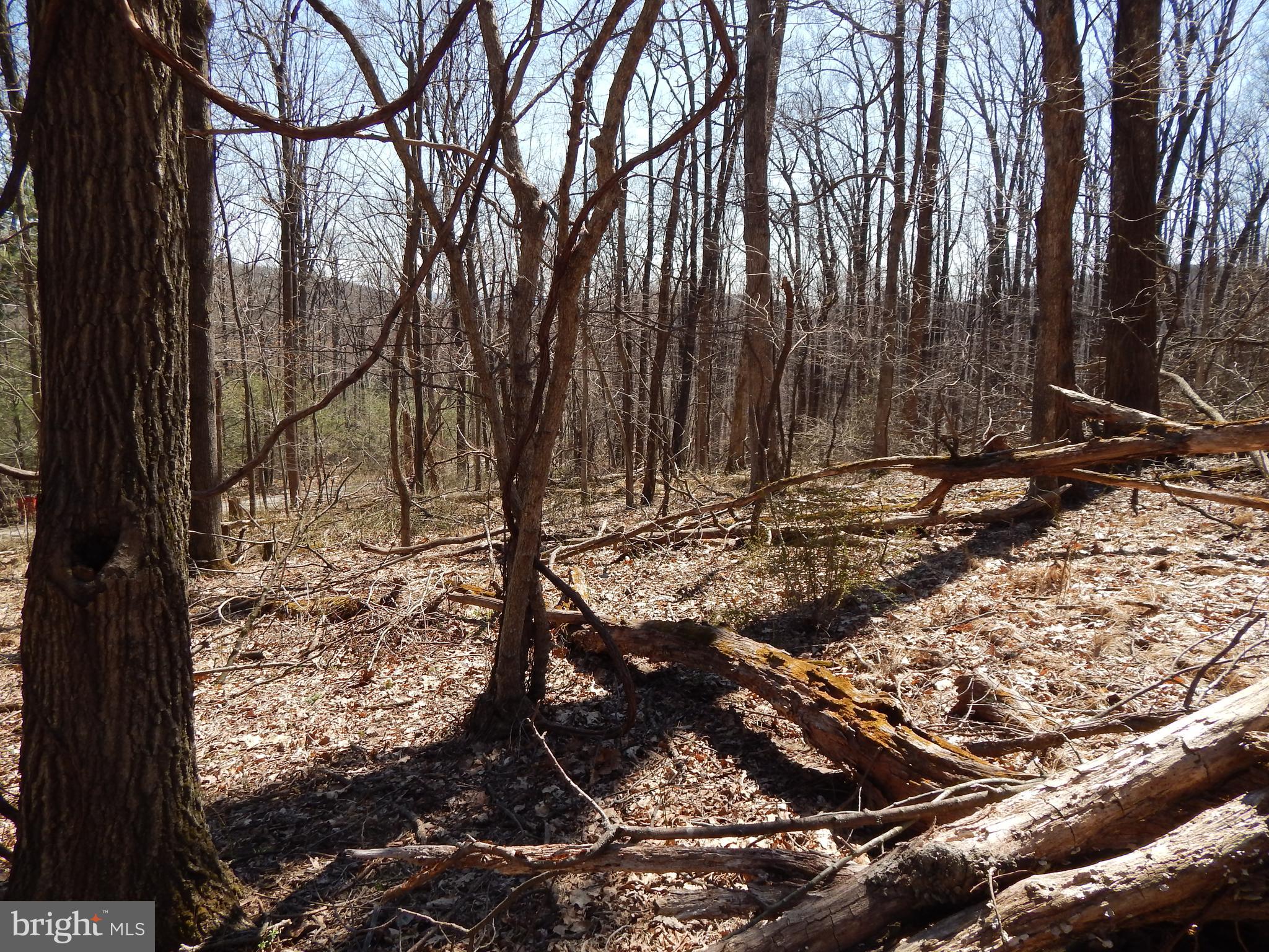 SLEEPY HOLLOW - Land