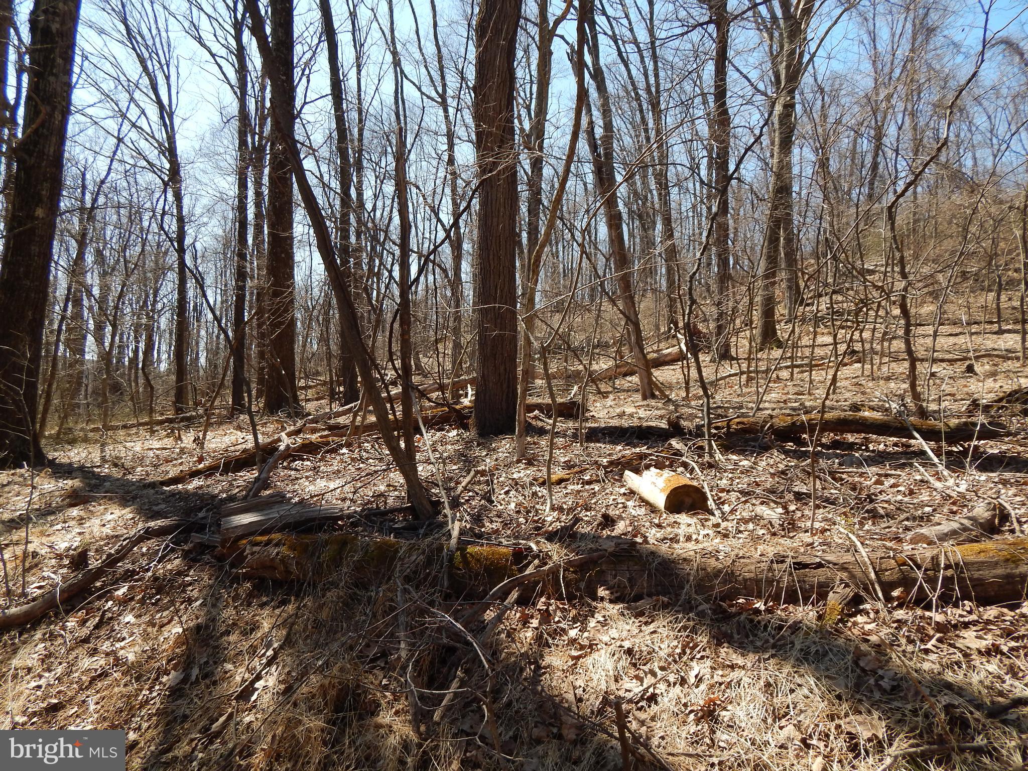 SLEEPY HOLLOW - Land