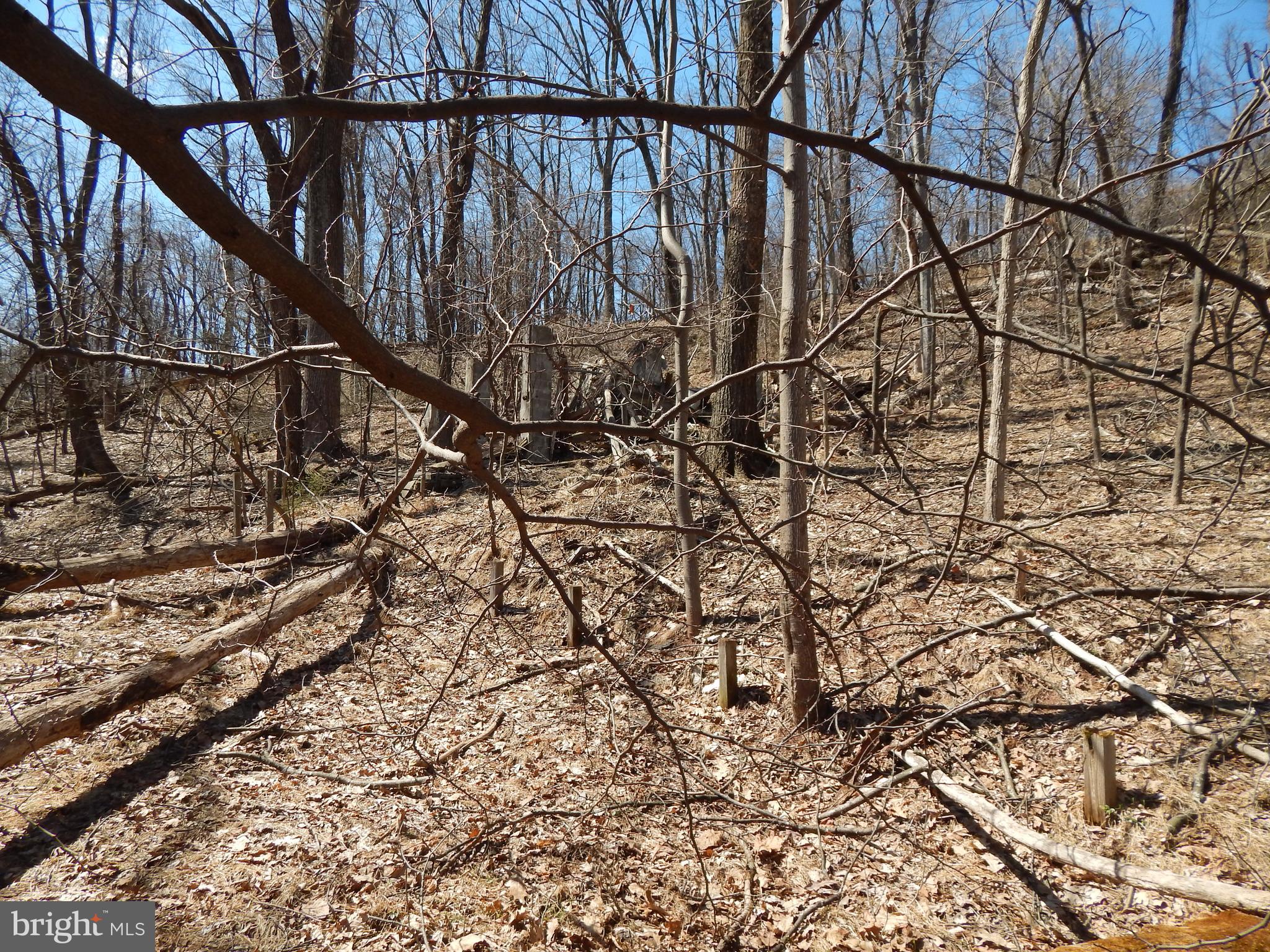 SLEEPY HOLLOW - Land