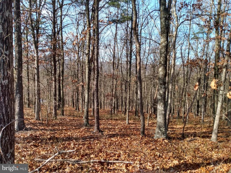 2 Acres and Unrestricted, Wooded, building lot south of Berkeley Springs located along a small black top county road. 1/2 hour to Winchester VA for an easy commute. For outdoor recreation, close to the Cacapon State Park and Sleepy Creek WMA. Take a look today before it's too late.