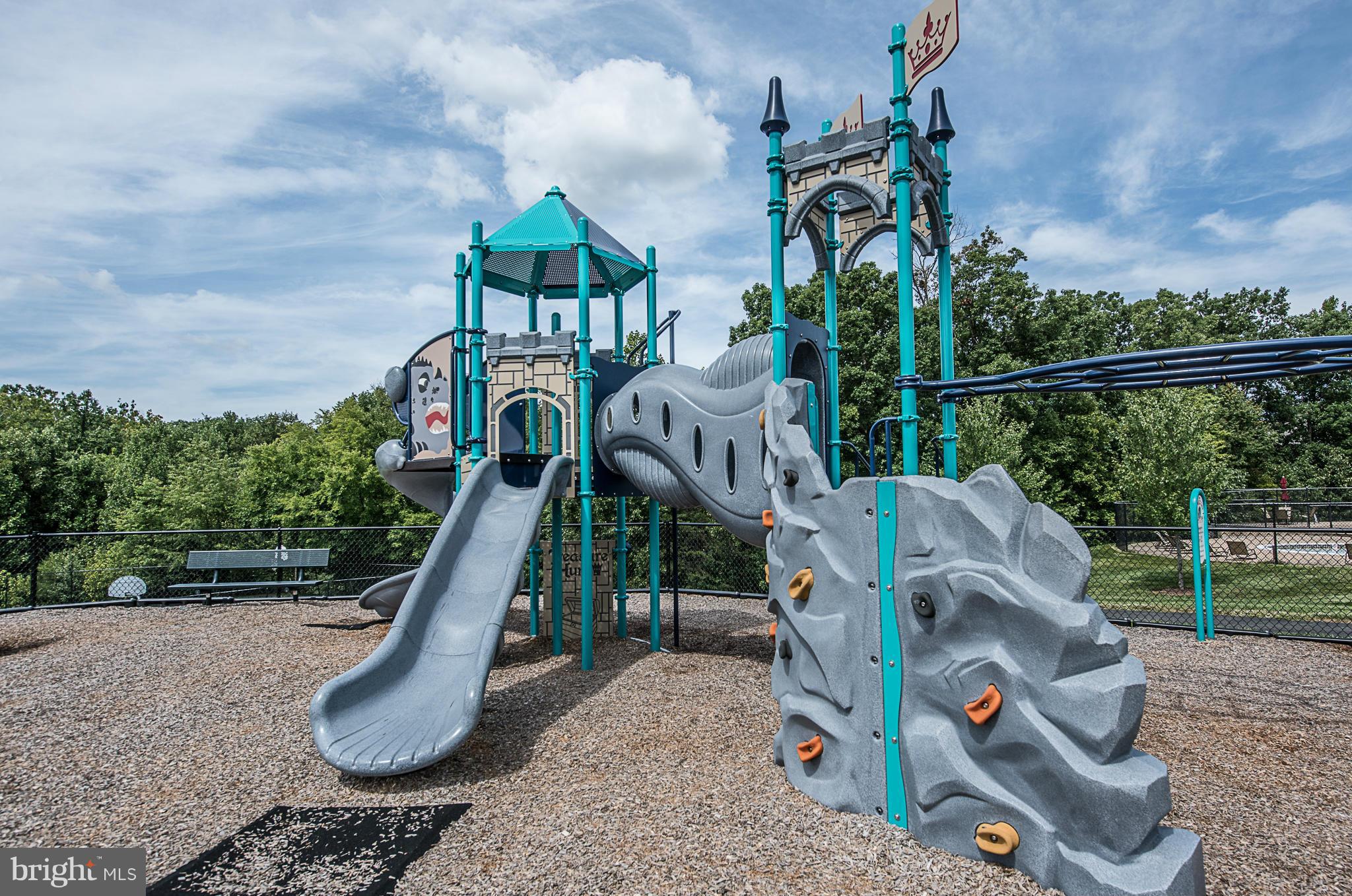 GREAT FALLS CHASE - Residential