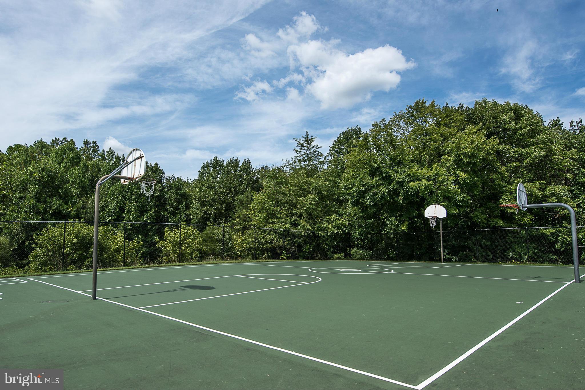 GREAT FALLS CHASE - Residential