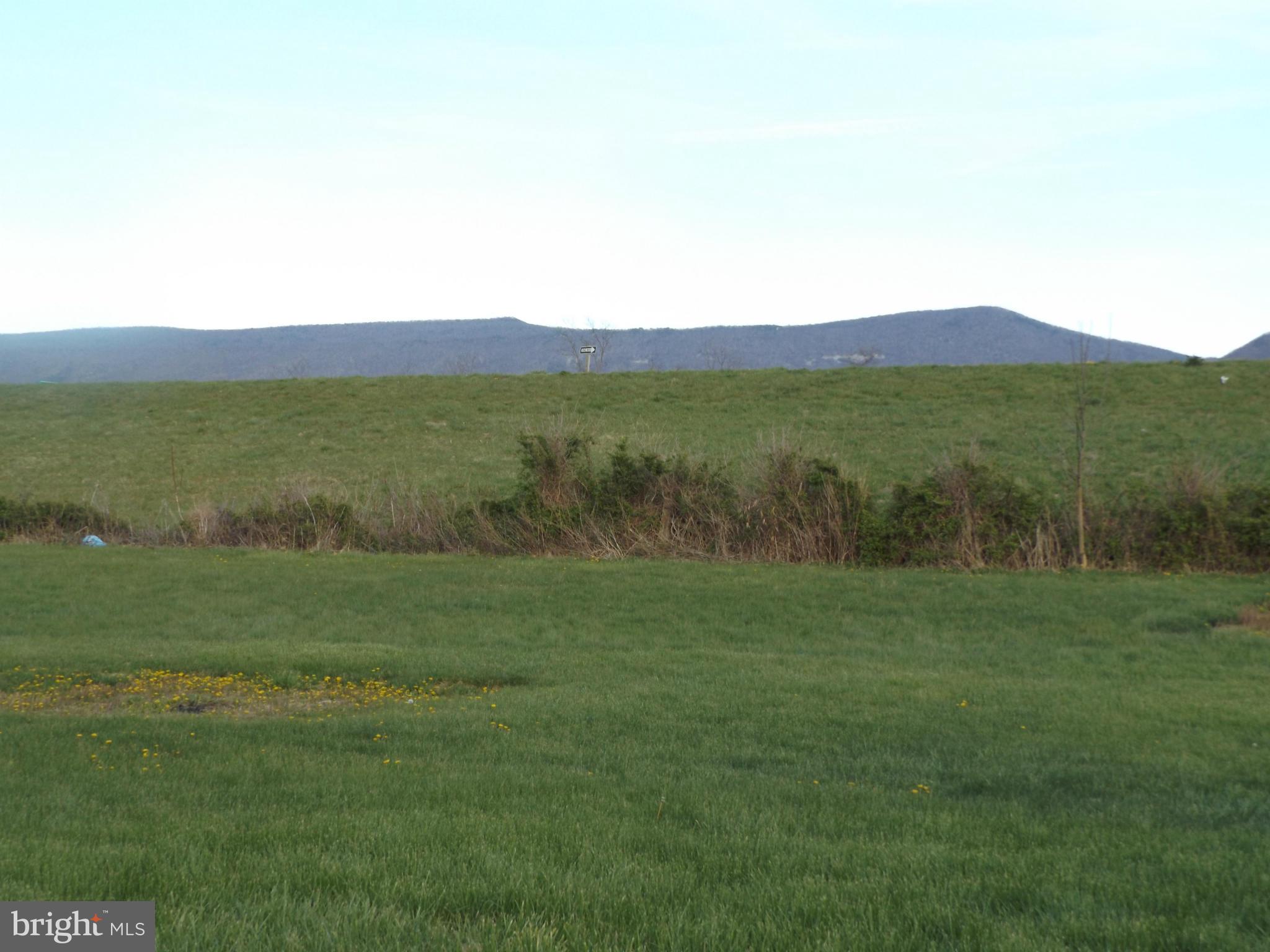 MASSANUTTEN VIEW - Residential