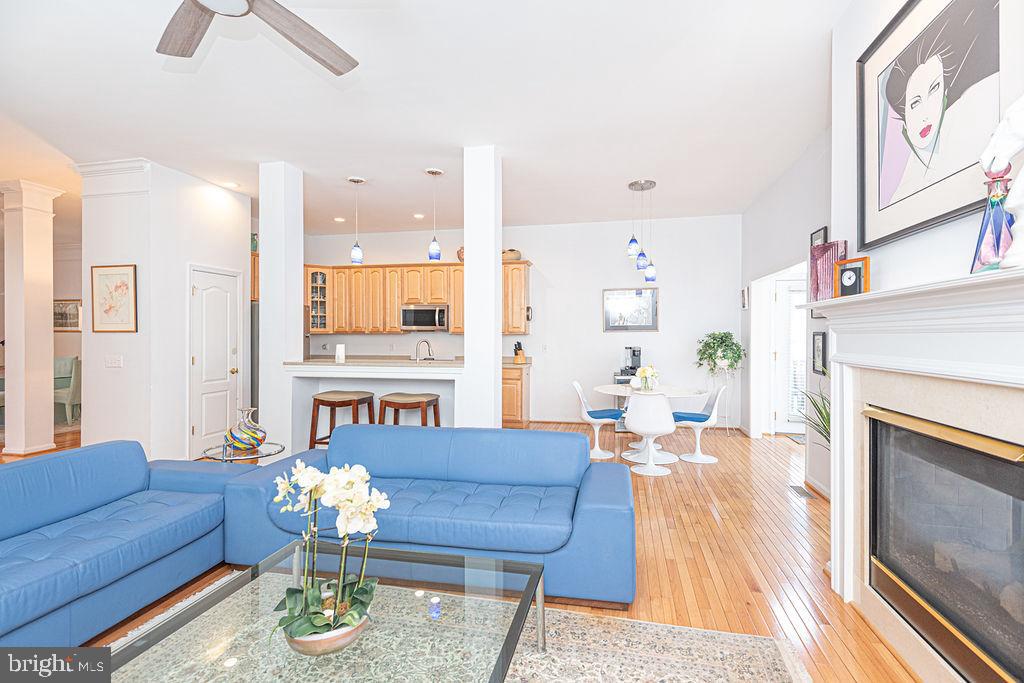 OCEAN PINES - THE PARKE - Residential