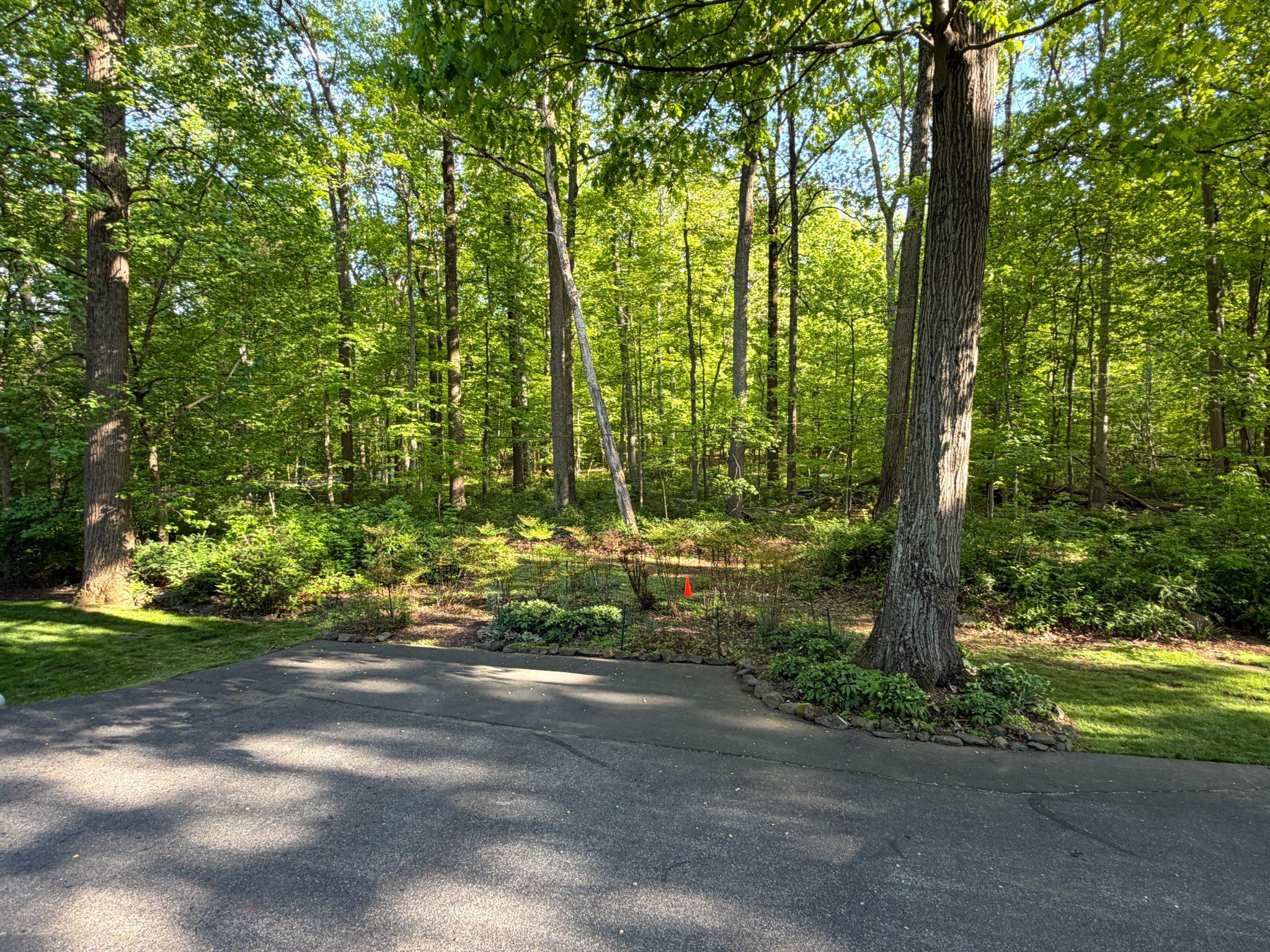 OAK FOREST PARK - Residential