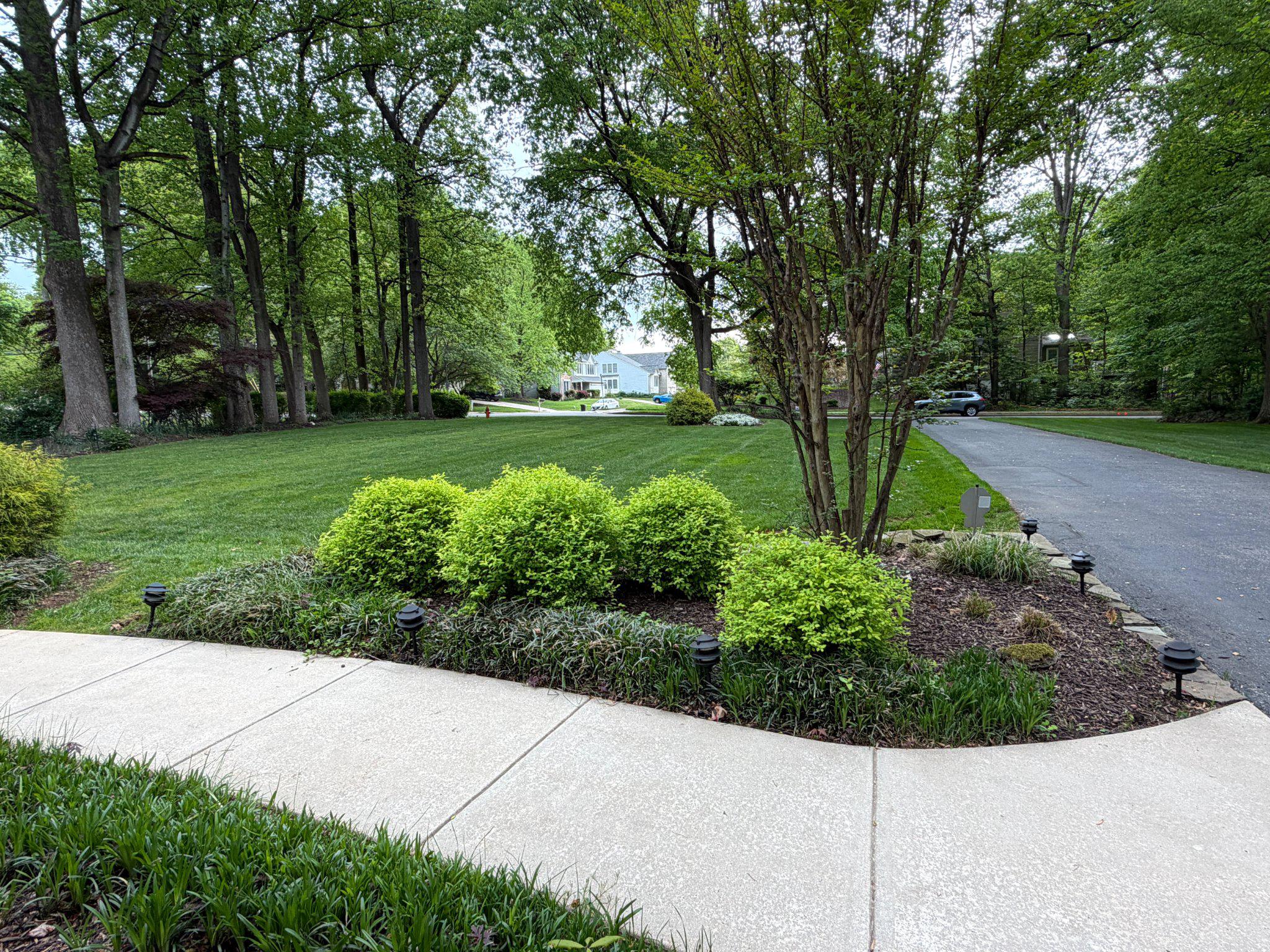 OAK FOREST PARK - Residential