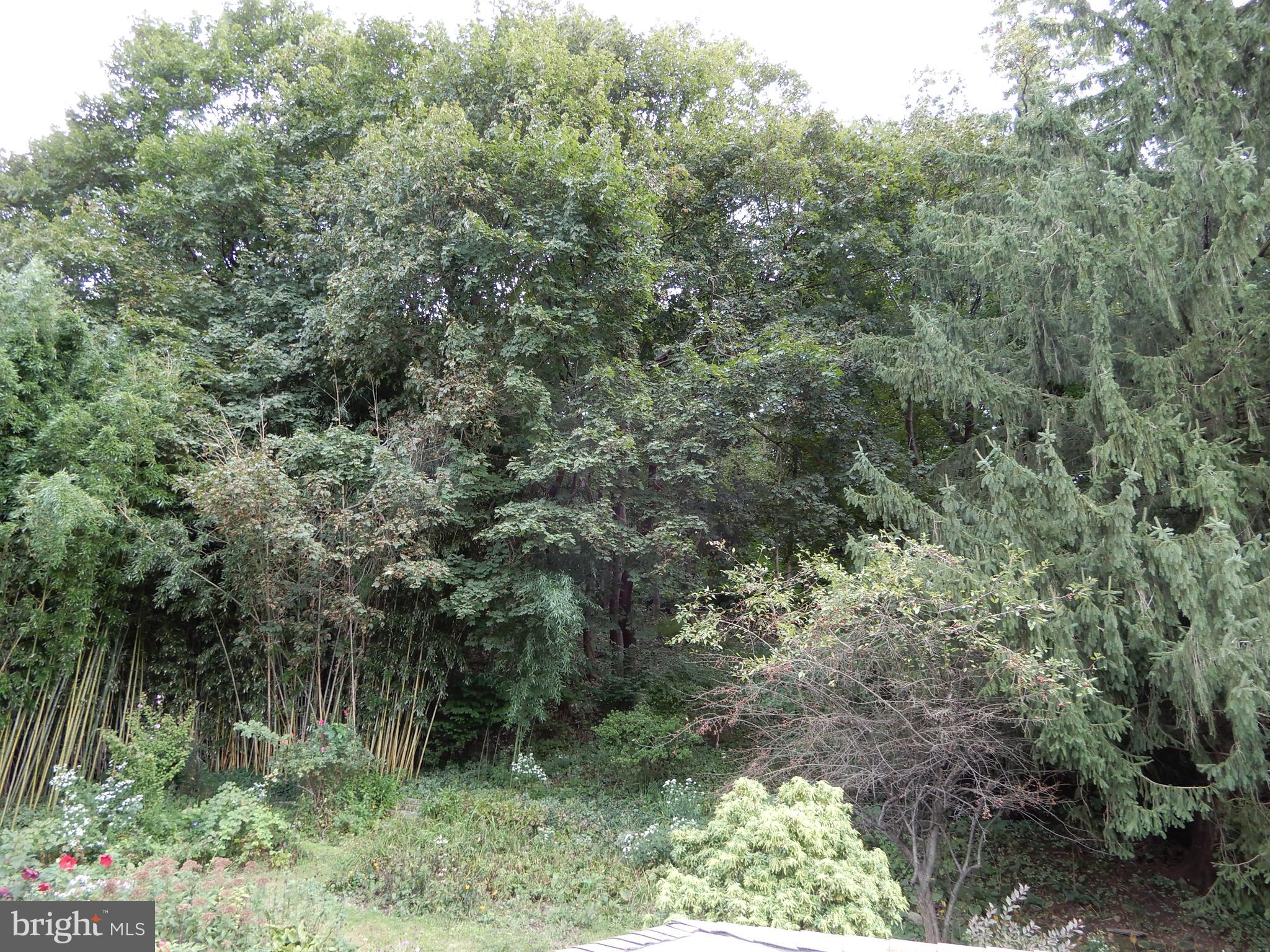 PLEASUREVILLE - Residential