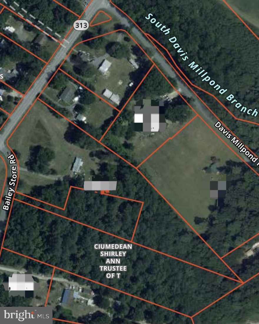 Large Wooded Lot