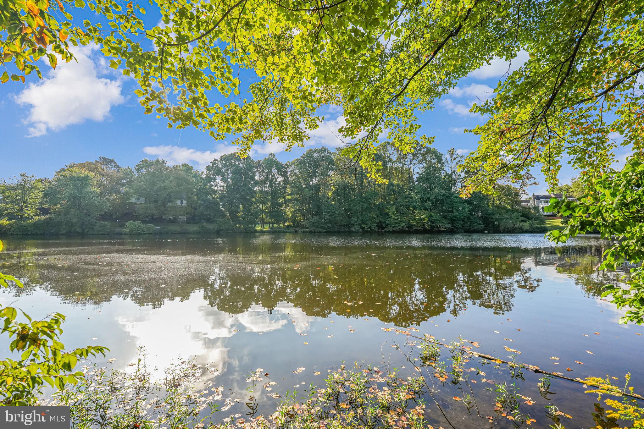 LAKE BRADDOCK - Residential