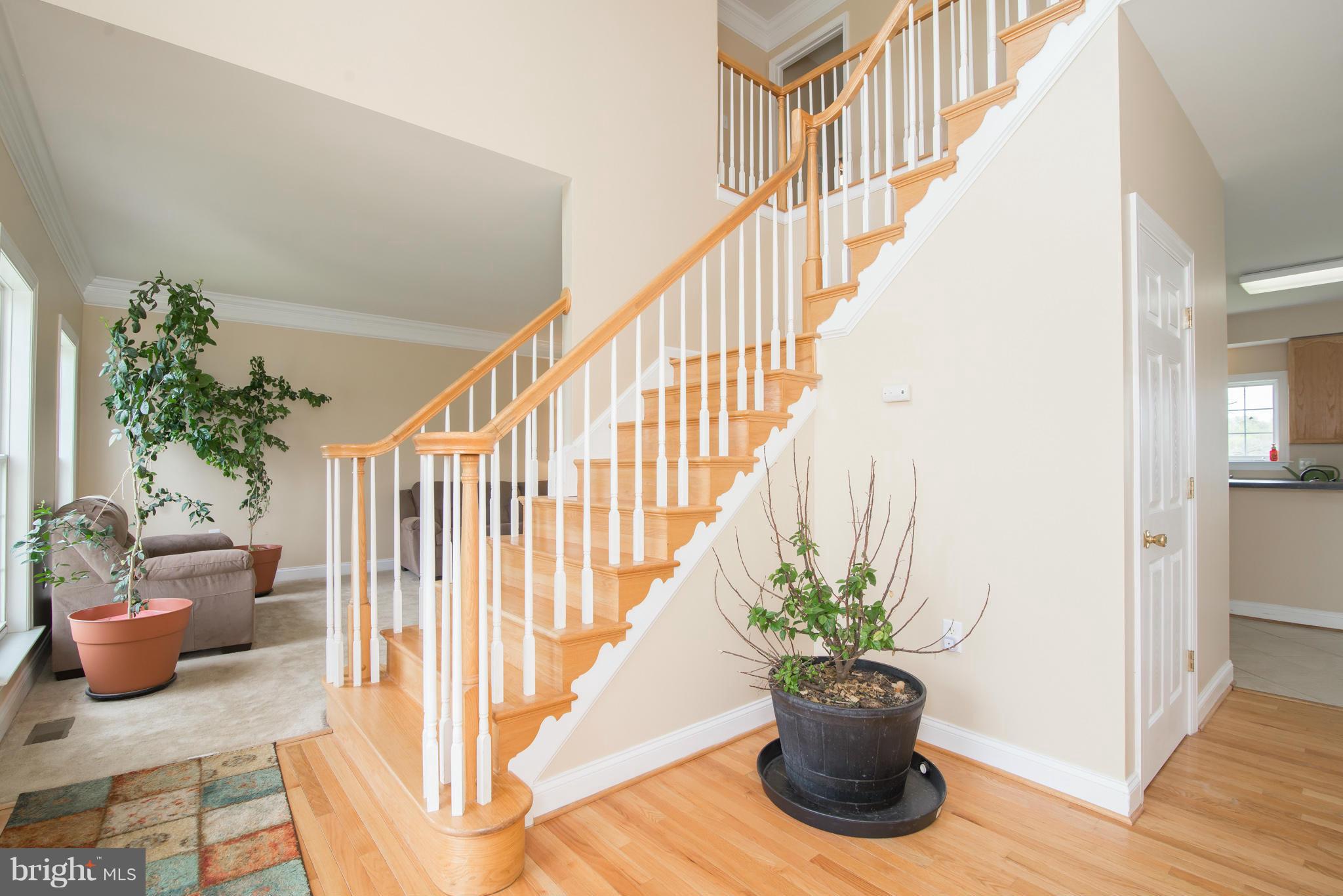 MEADOW BROOK - Residential