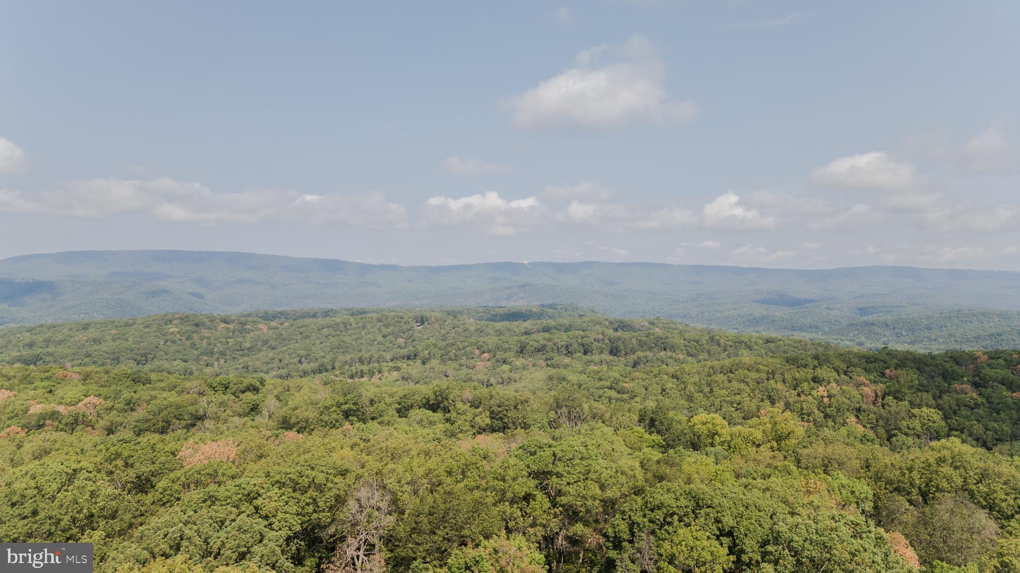 MAGNOLIA BEND - Residential Lease