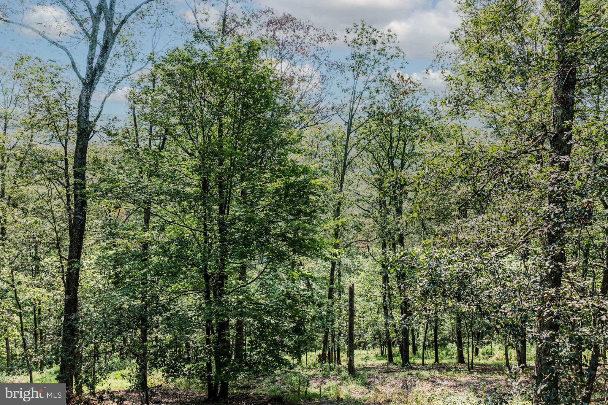 MAGNOLIA BEND - Residential Lease