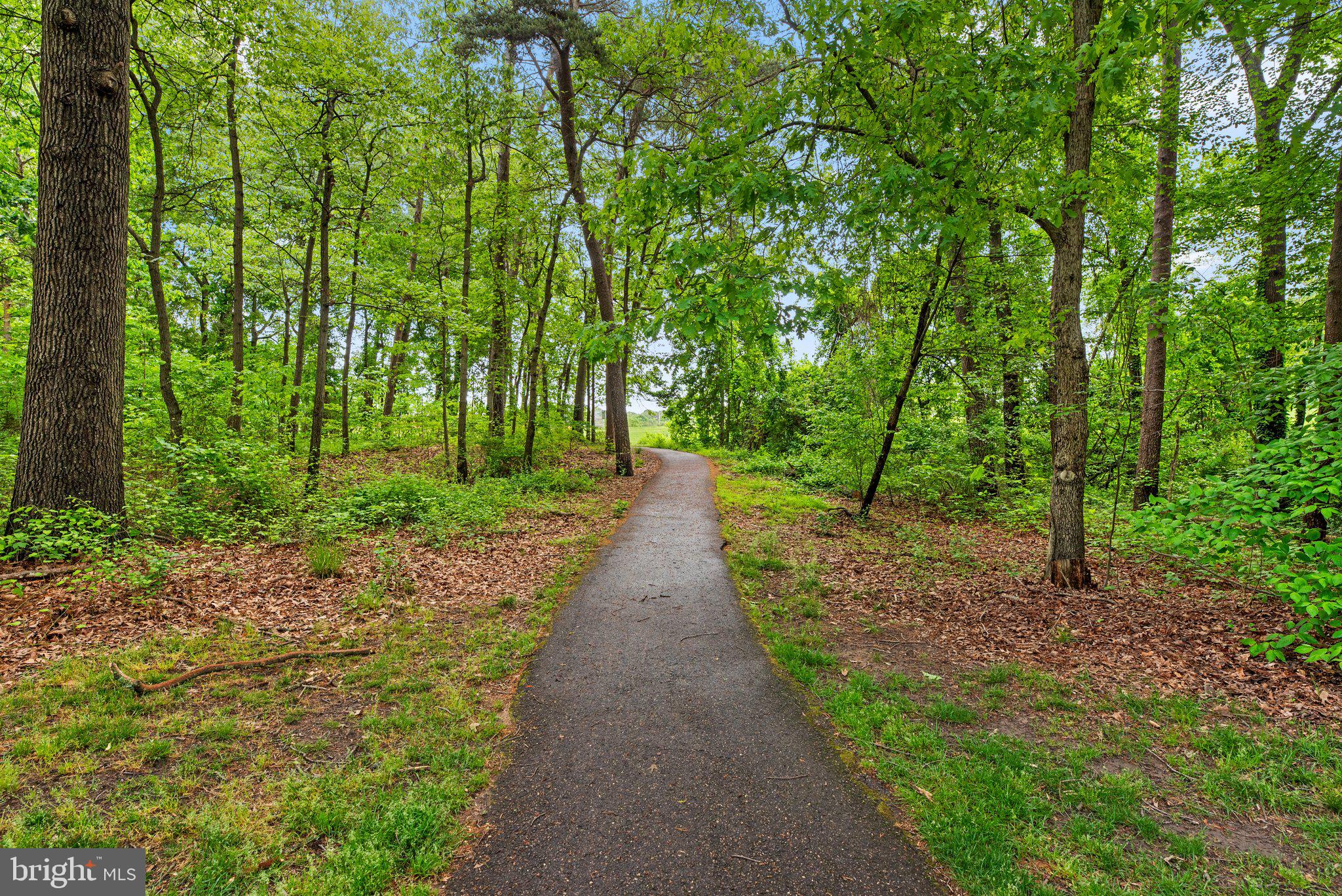 SHIPLEYS CHOICE - Residential