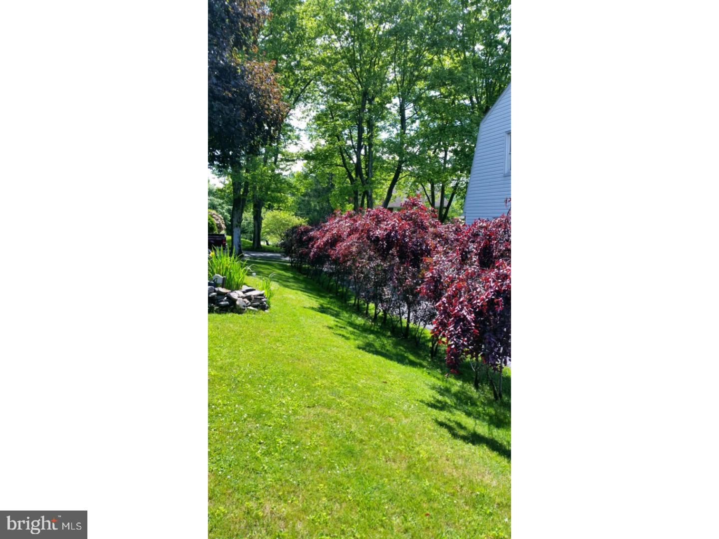 HALLTON HILL - Residential