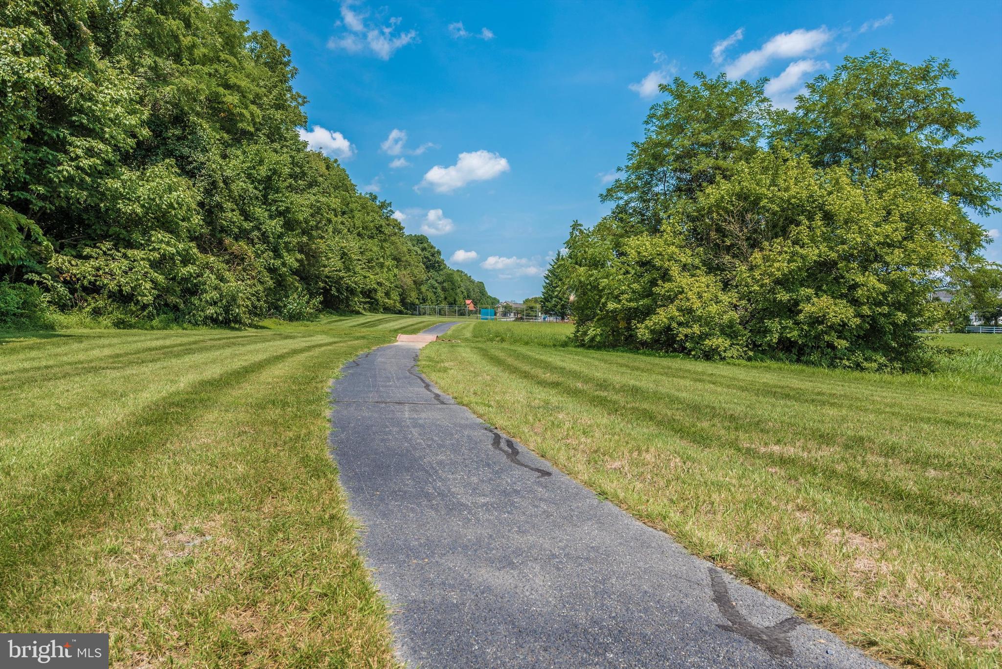 THE MEADOW AT NEW MARKET - Residential