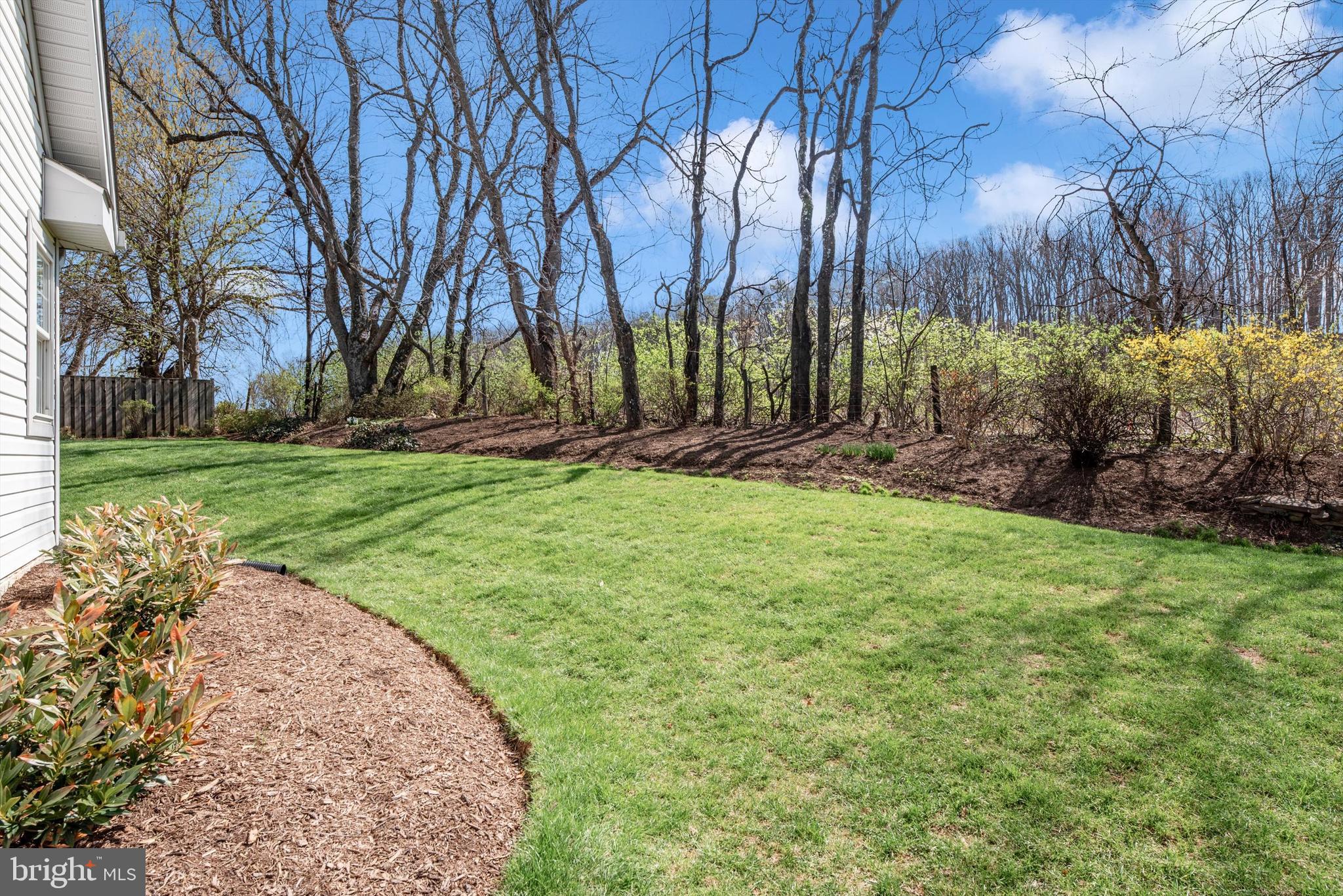 THE MEADOW AT NEW MARKET - Residential