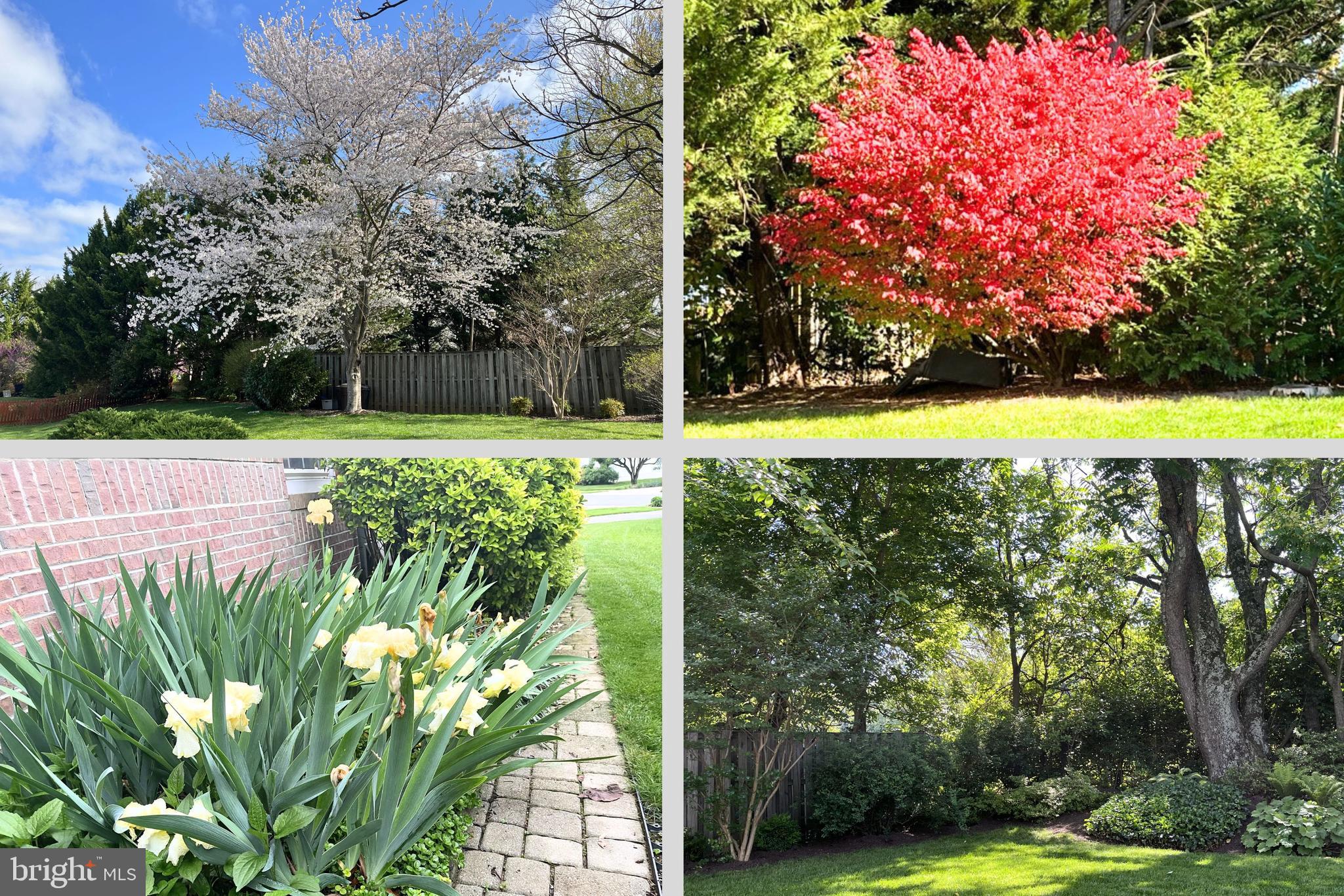 THE MEADOW AT NEW MARKET - Residential