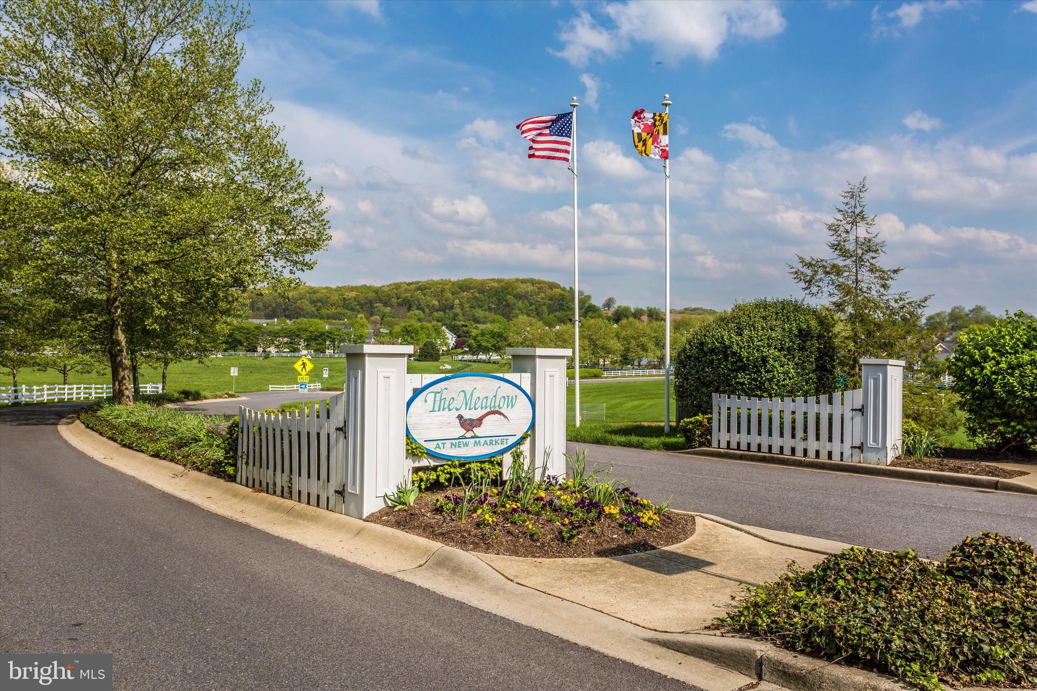 THE MEADOW AT NEW MARKET - Residential