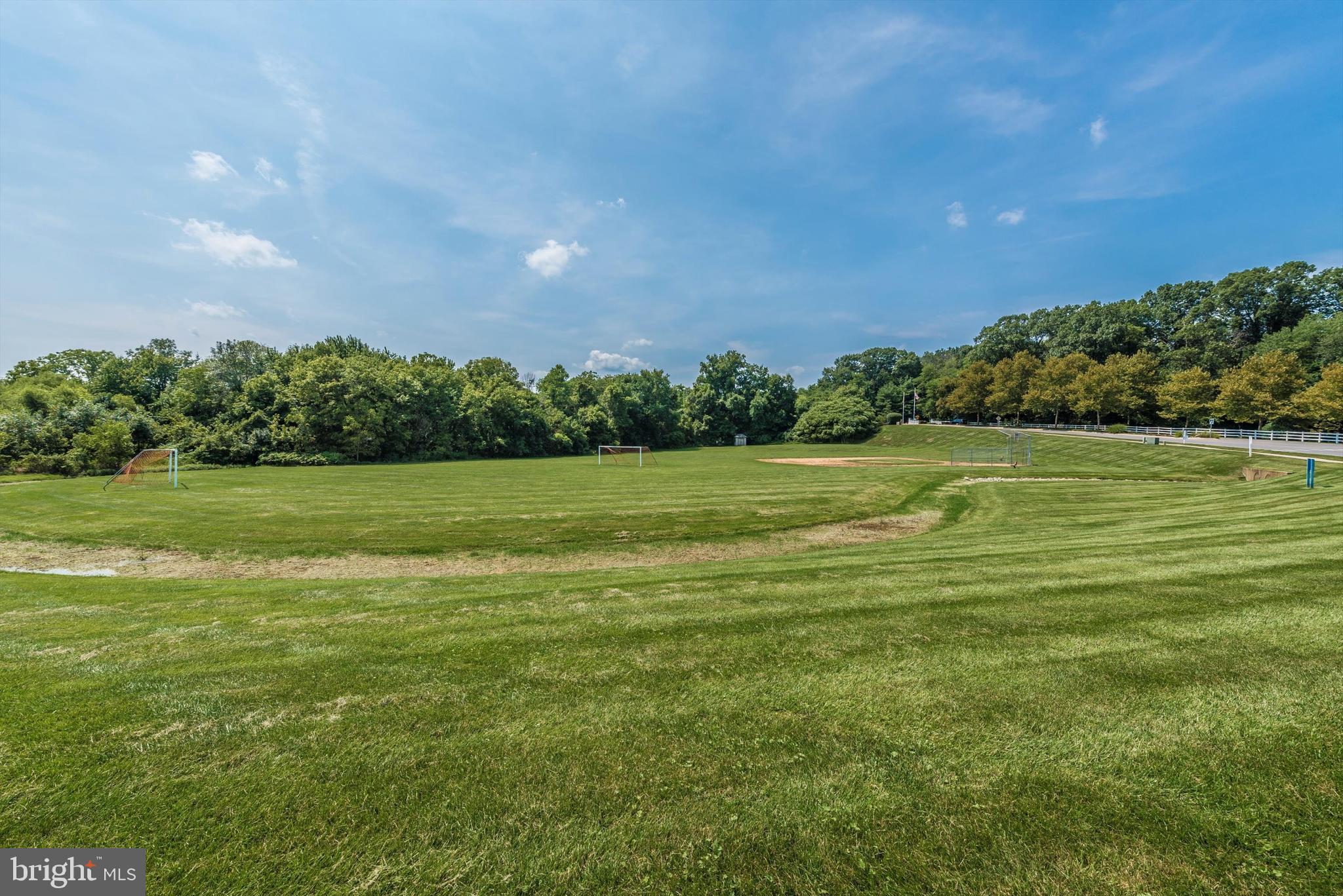 THE MEADOW AT NEW MARKET - Residential