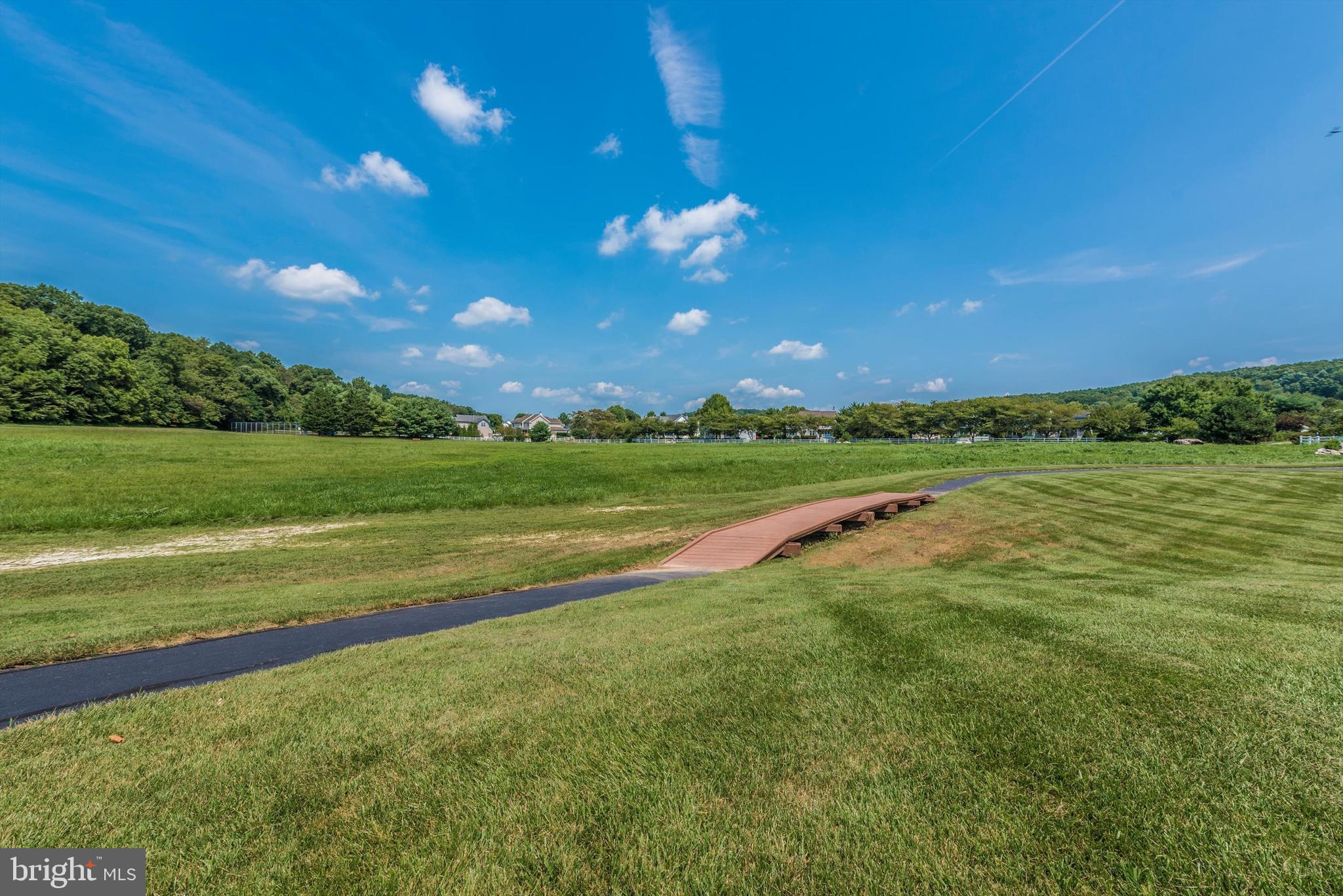 THE MEADOW AT NEW MARKET - Residential