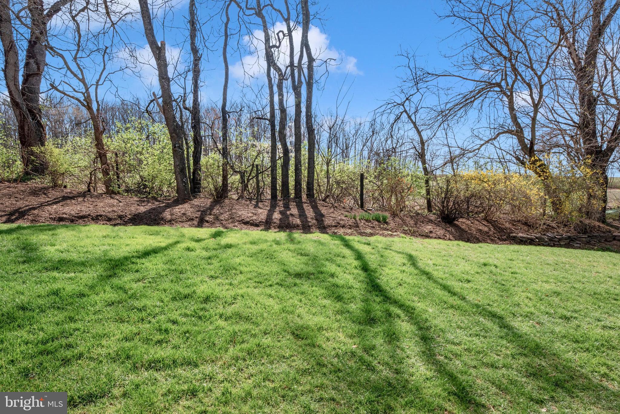 THE MEADOW AT NEW MARKET - Residential
