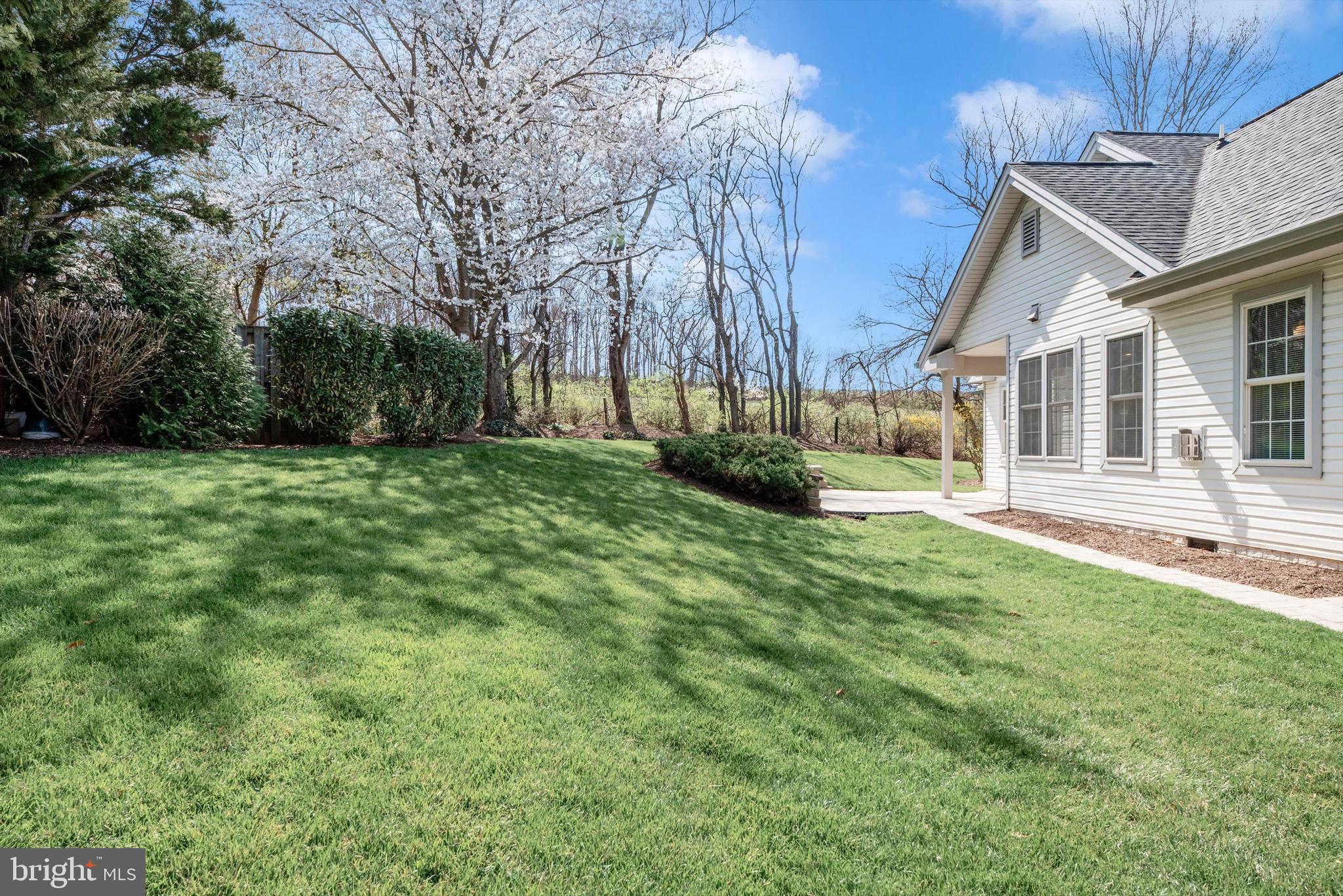 THE MEADOW AT NEW MARKET - Residential