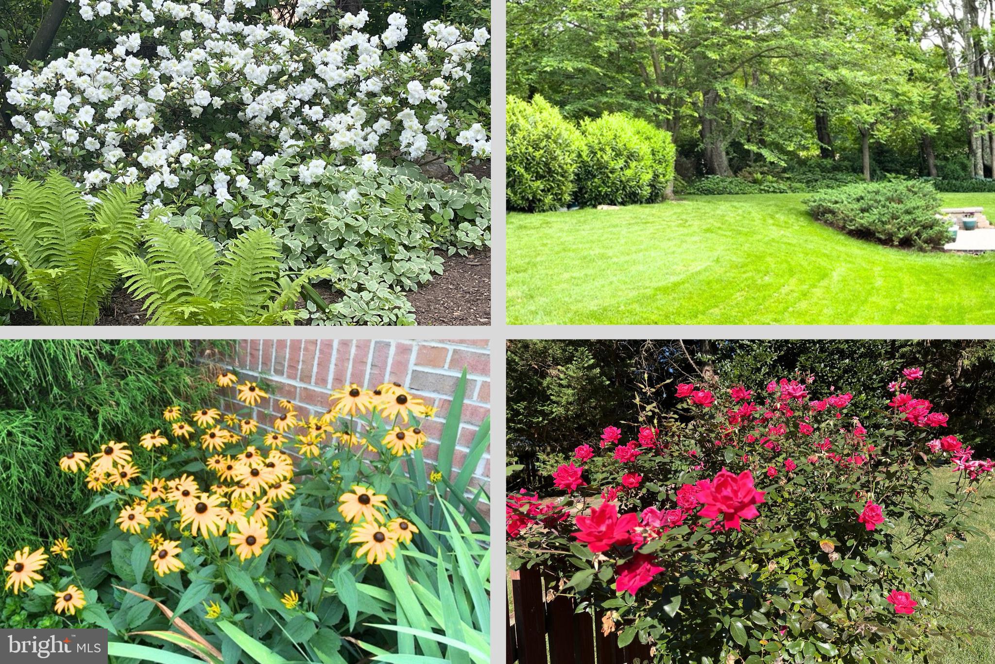 THE MEADOW AT NEW MARKET - Residential