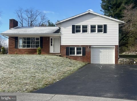 19119 WOODHAVEN DRIVE HAGERSTOWN MD 21742