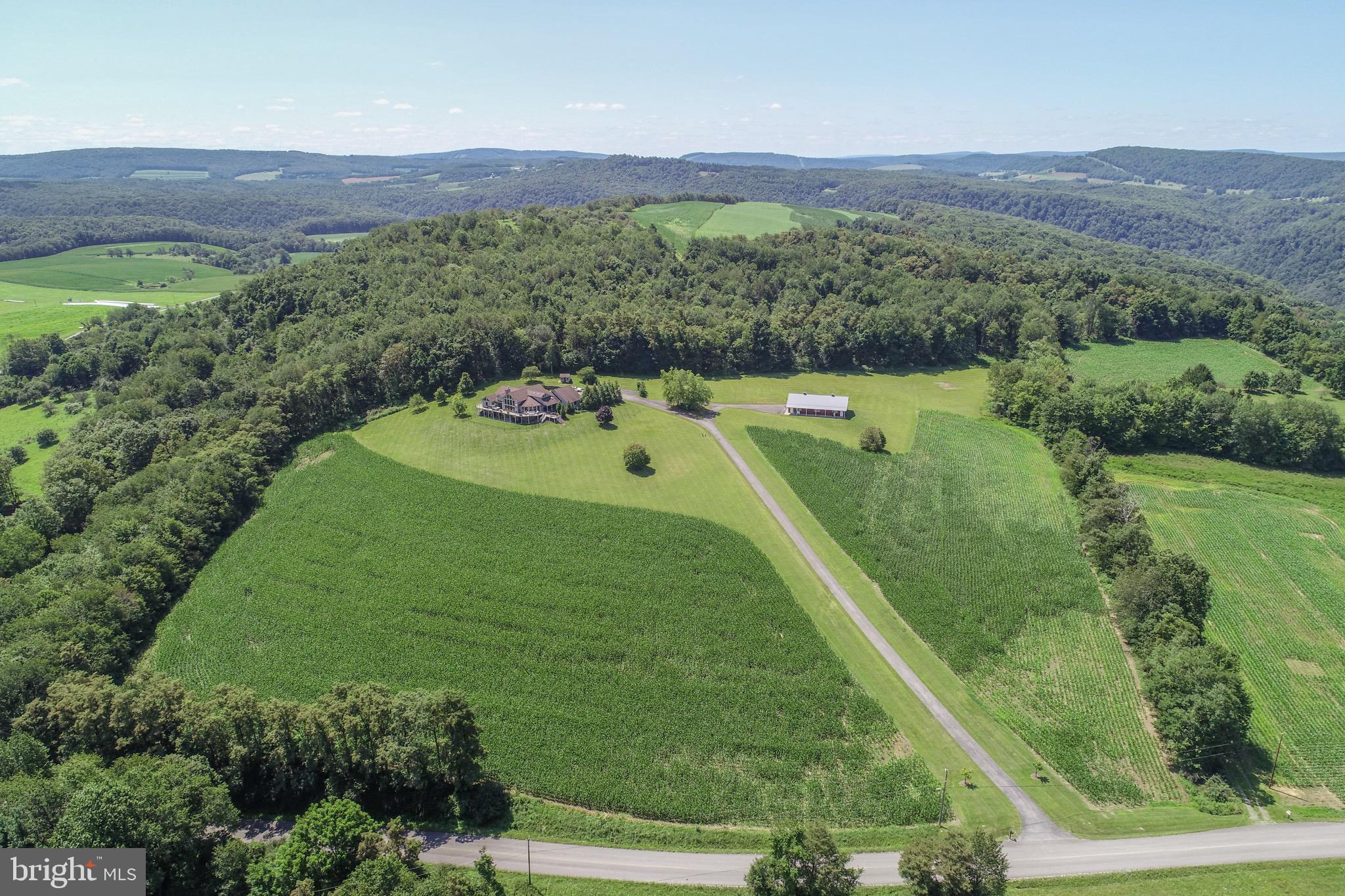 ACCIDENT - Residential