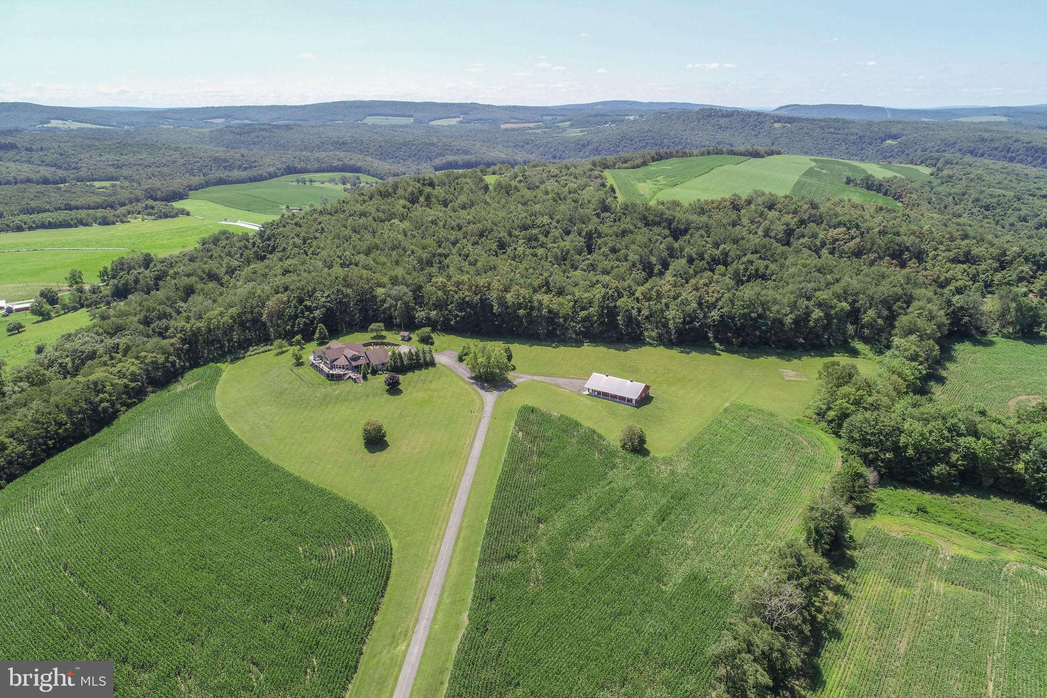 ACCIDENT - Residential