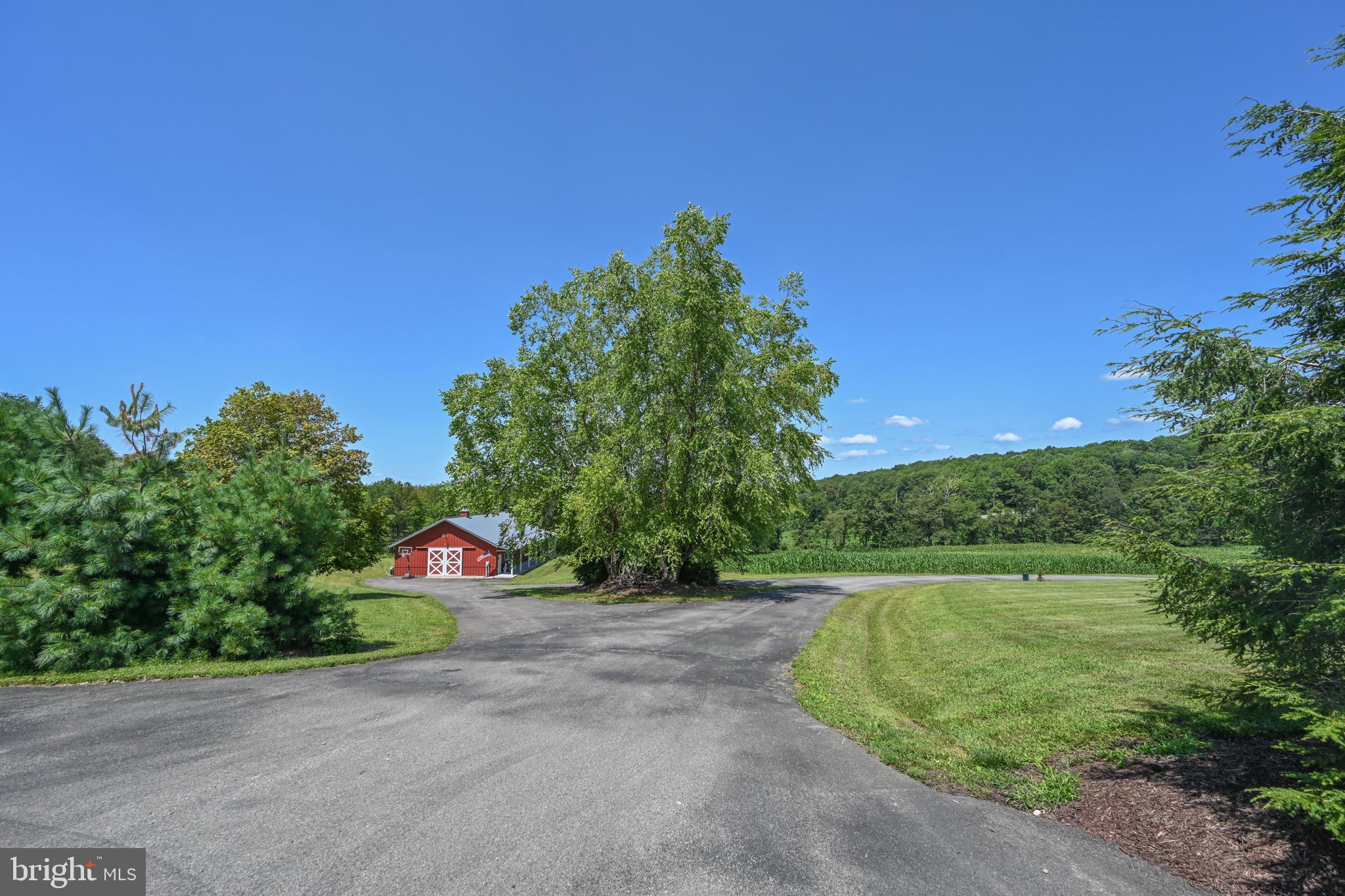 ACCIDENT - Residential