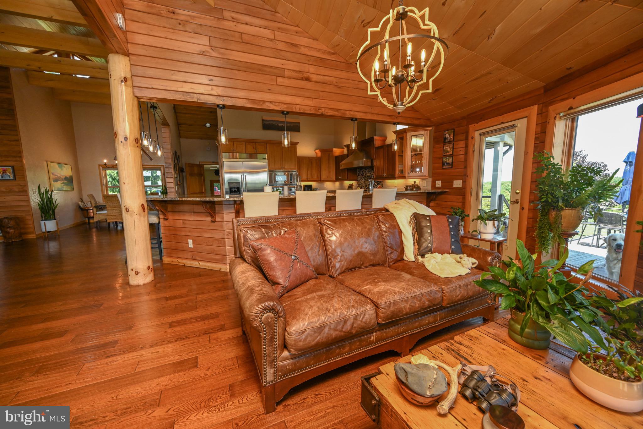 ACCIDENT - Residential