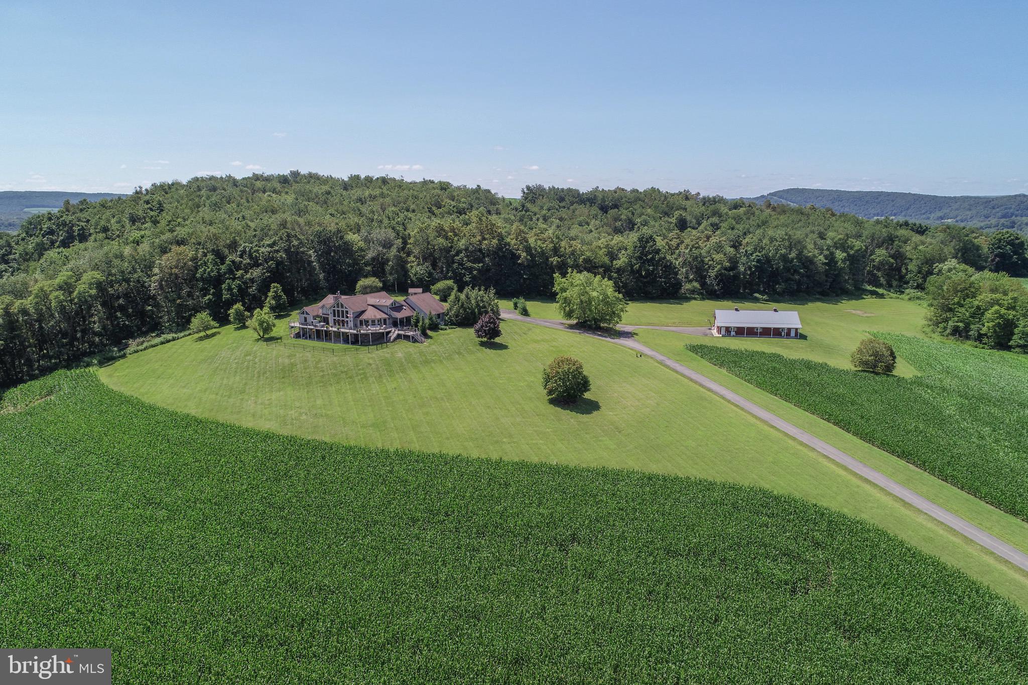 ACCIDENT - Residential