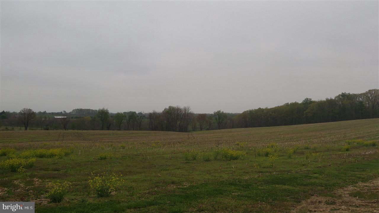 NONE AVAILABLE - Land