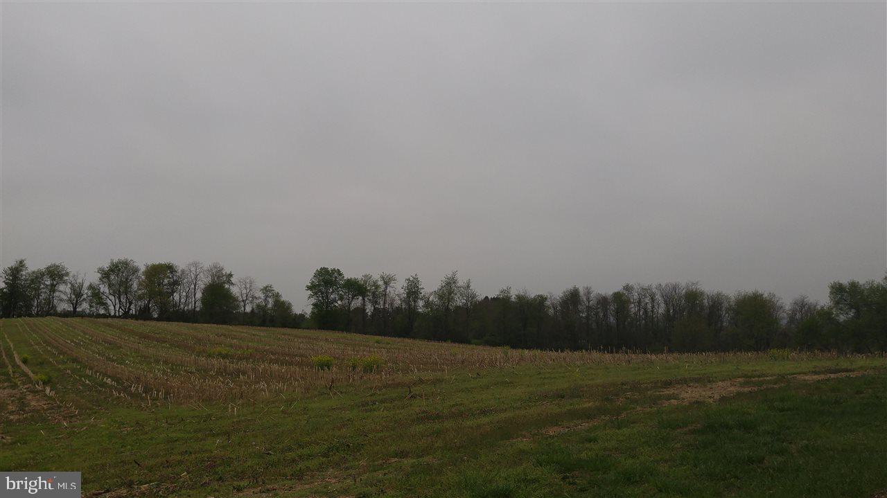 NONE AVAILABLE - Land