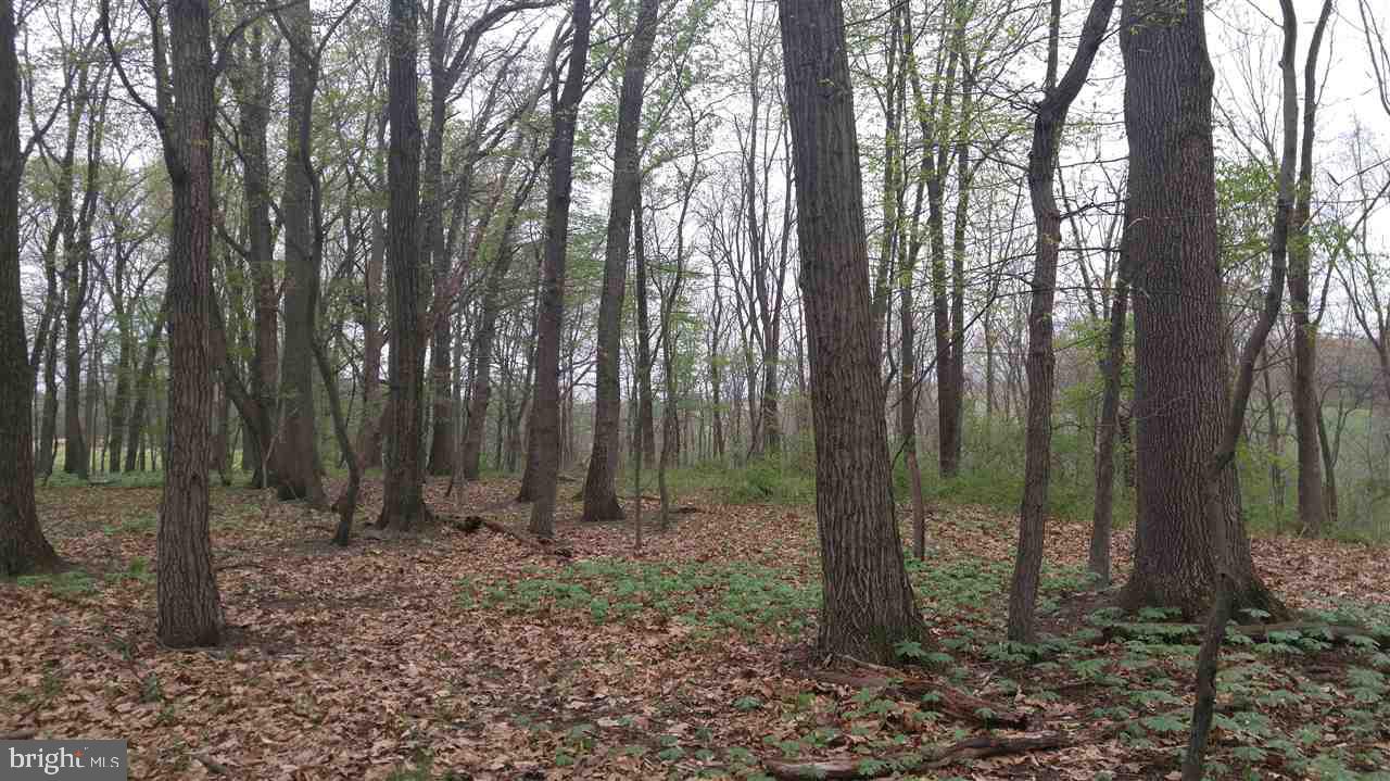 NONE AVAILABLE - Land