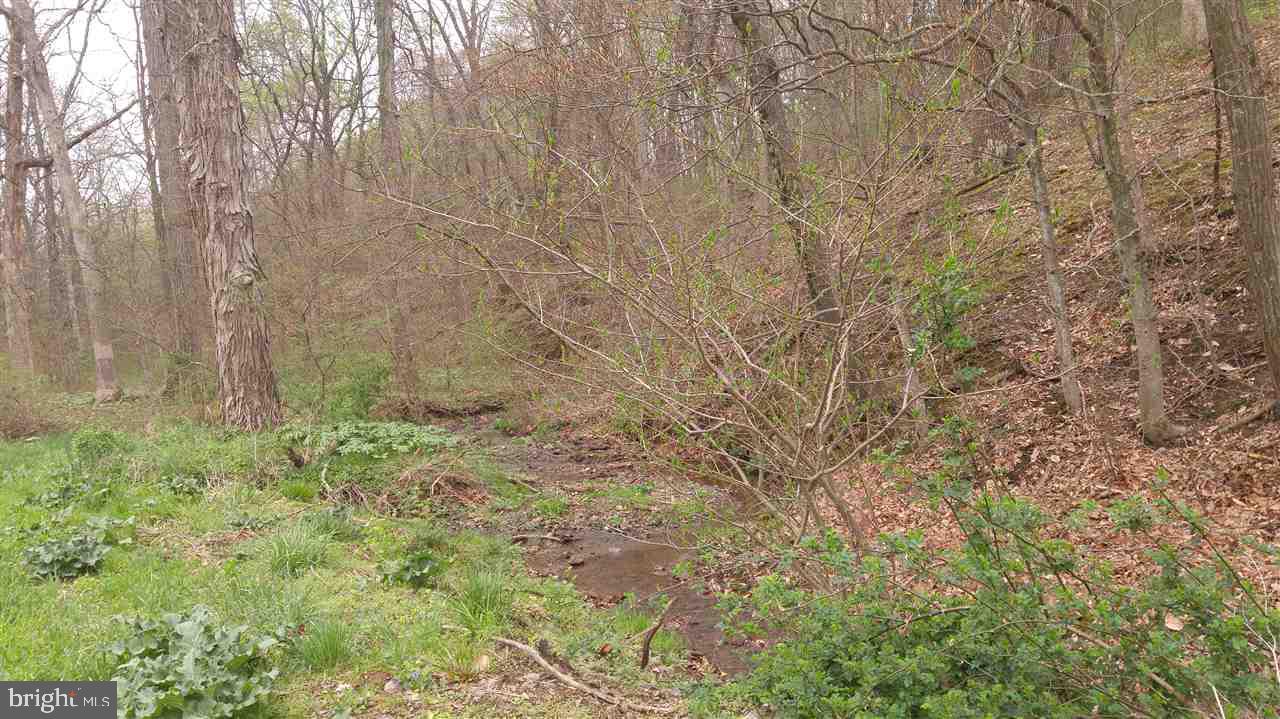 NONE AVAILABLE - Land