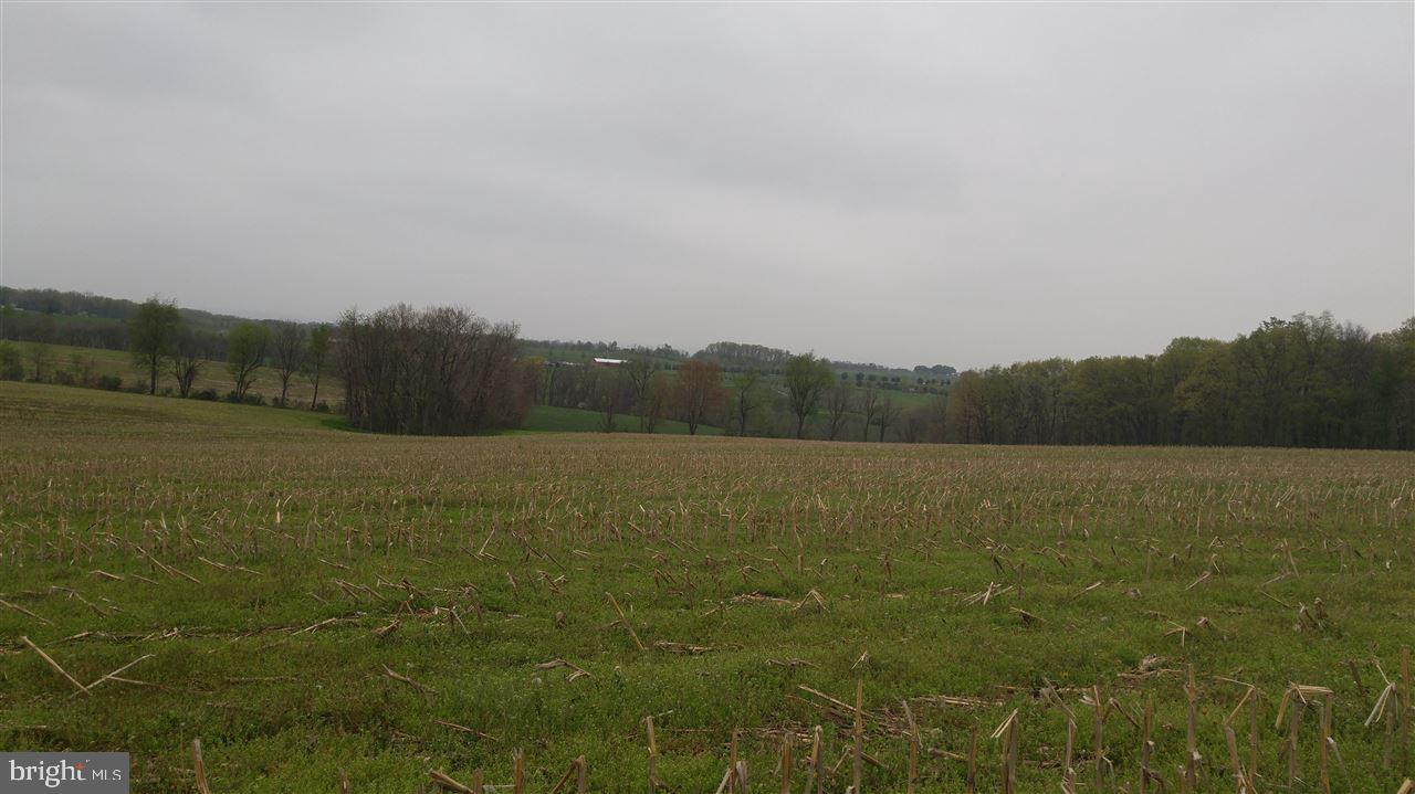 NONE AVAILABLE - Land