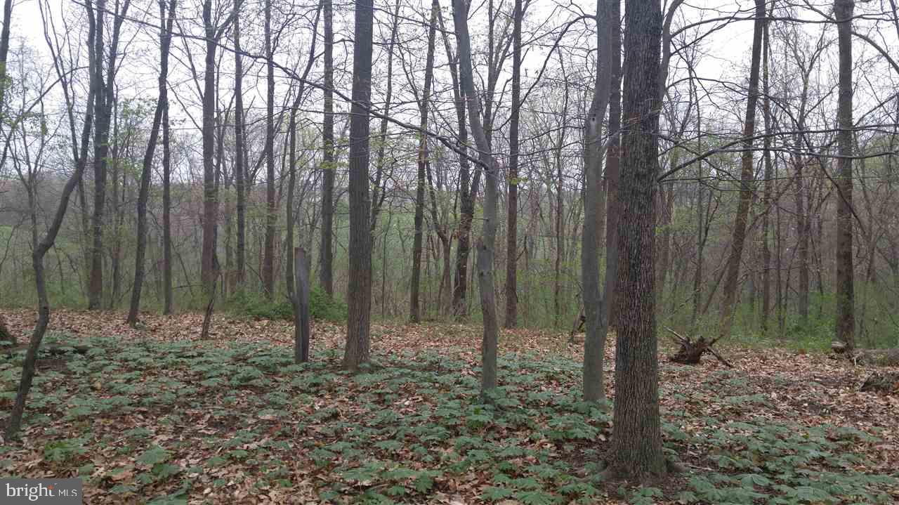 NONE AVAILABLE - Land