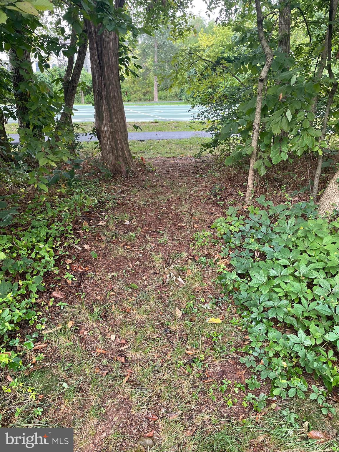 ASHBURN FARM - Residential