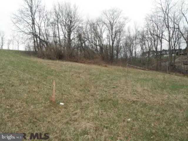 Additional image 2 of ON Winchester Lane, Bellefonte, PA 16823