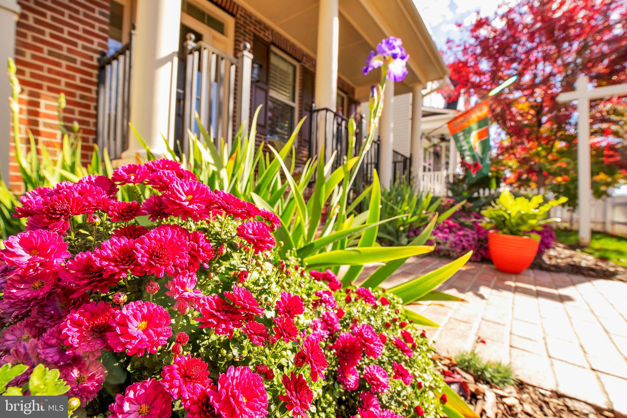 CLARKSBURG VILLAGE - Residential